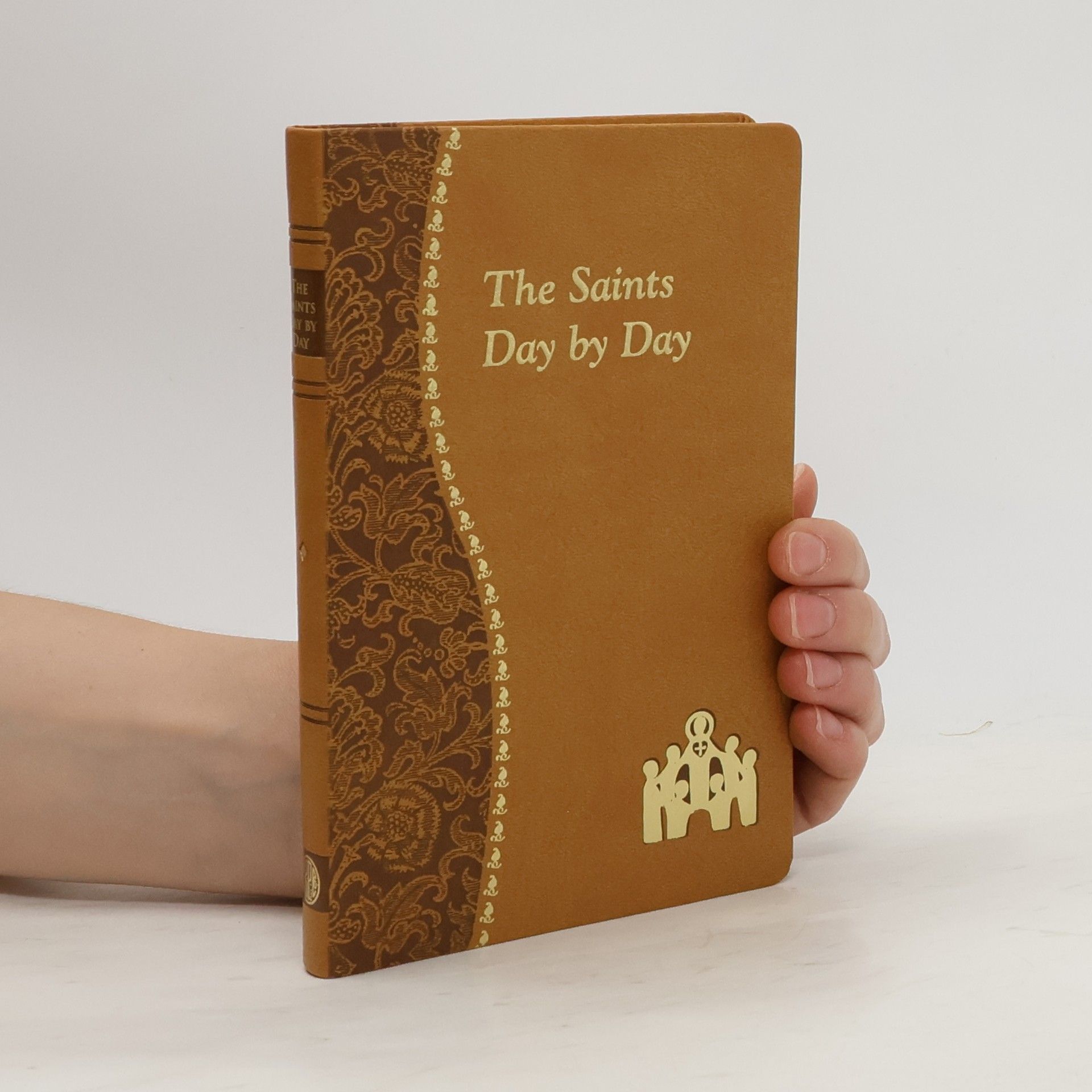 Marcy Alborghetti The Saints Day by Day