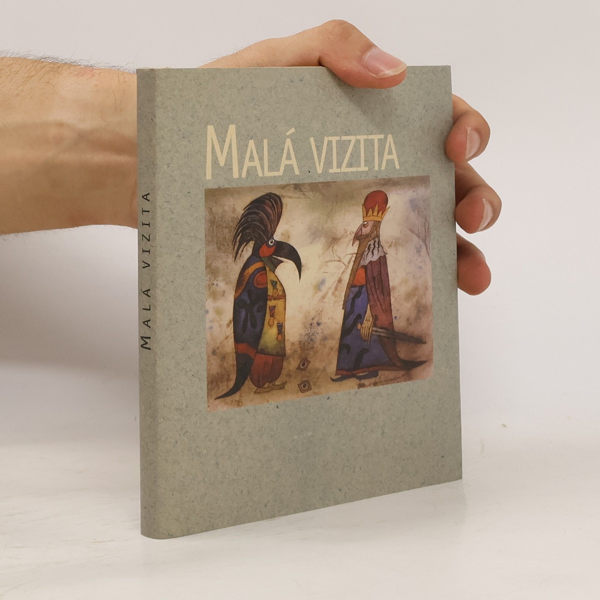 Kolektív autorov Malá vizita