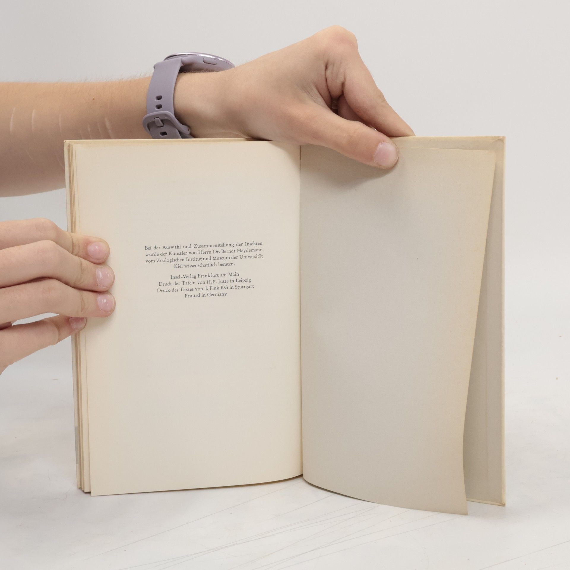 AA.VV. Das kleine Insektenbuch
