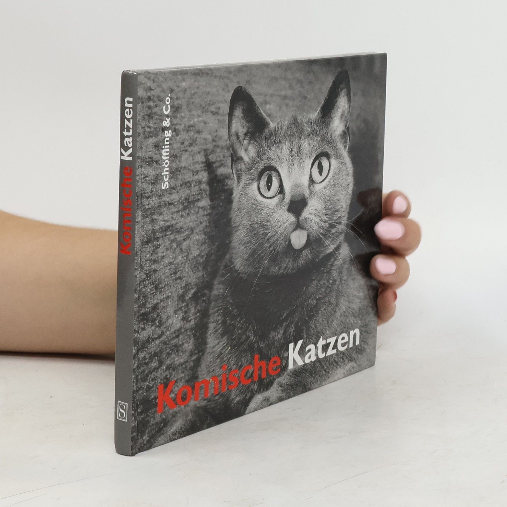 Julia Bachstein Komische Katzen