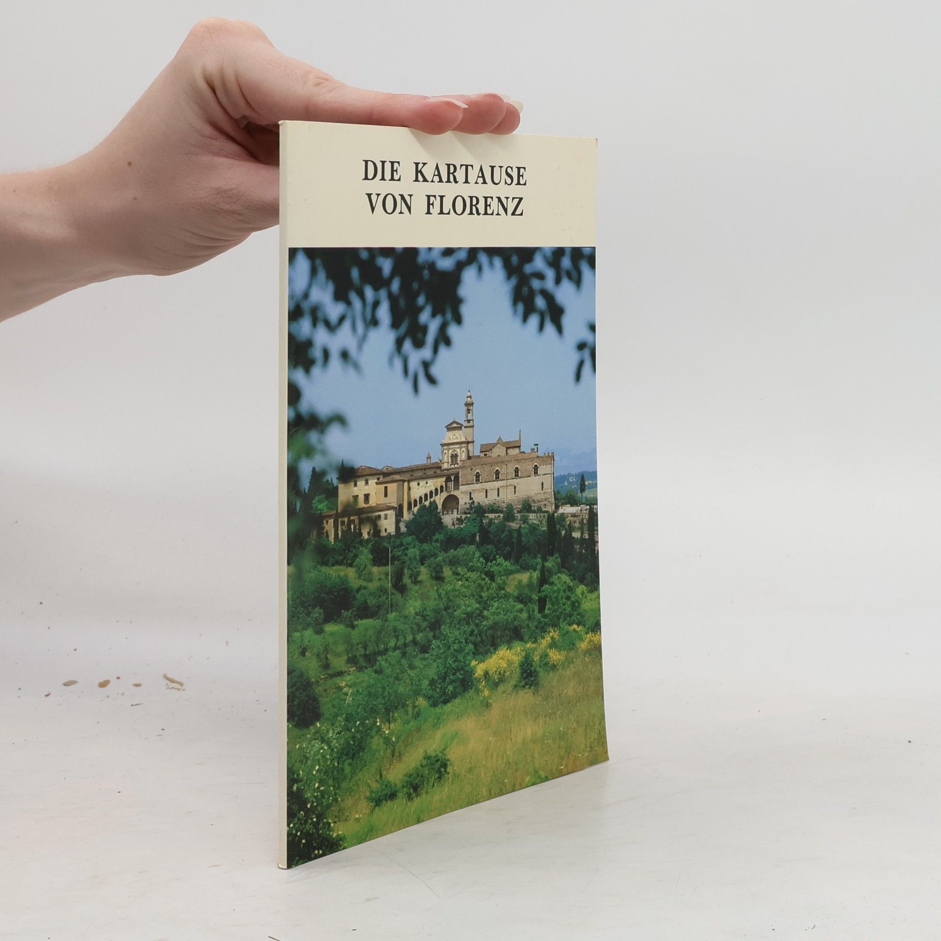 P. Goffredi Viti Die Kartause von Florenz