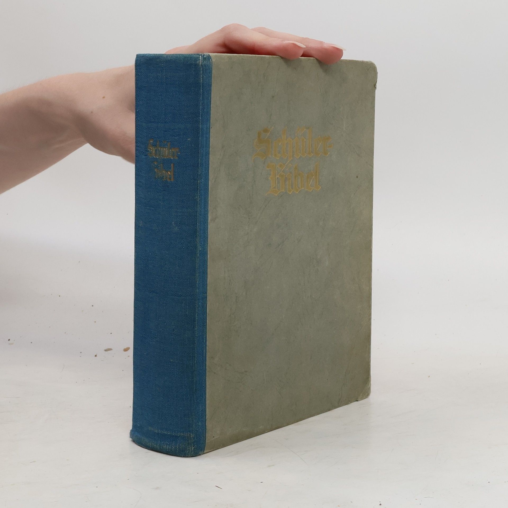 Martin Luther Schülerbibel