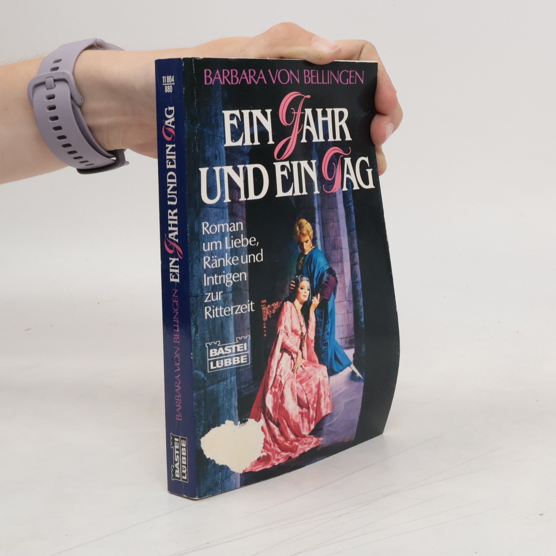Barbara von Bellingen Ein Jahr und ein Tag. Roman