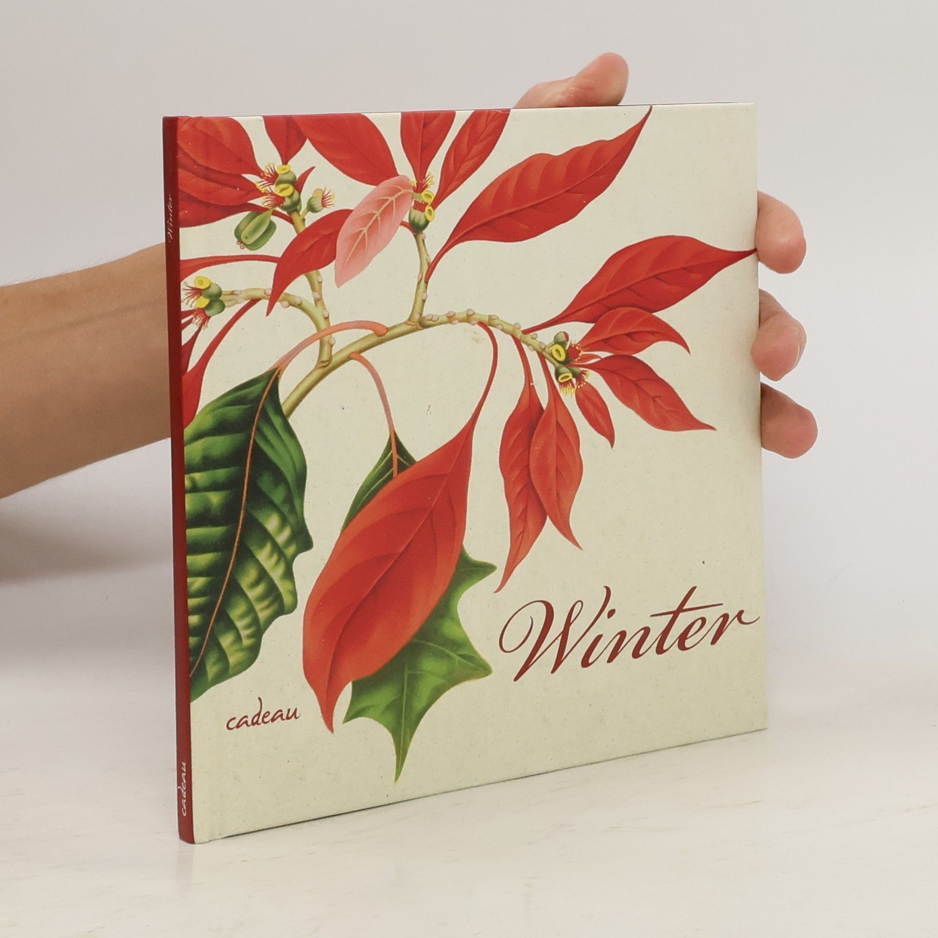 Günter Berg Winter