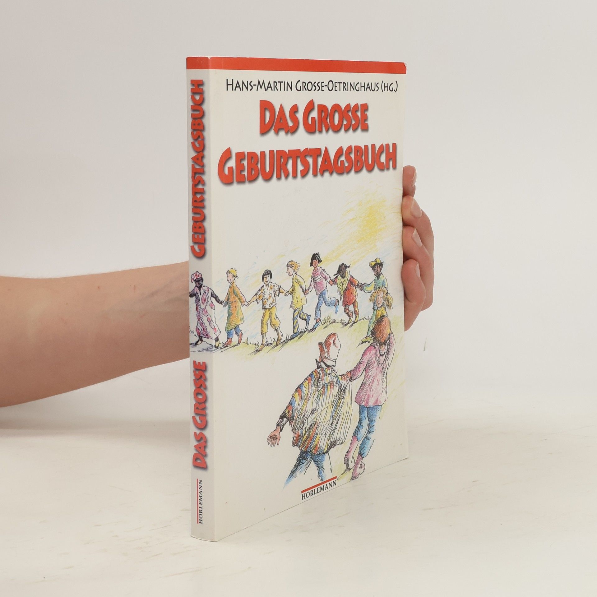 Hans-Martin Große-Oetringhaus Das große Geburtstagsbuch