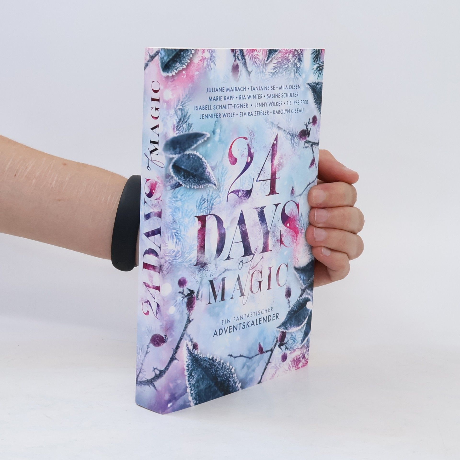 Karolyn Ciseau 24 Days of Magic. Ein fantastischer Adventskalender