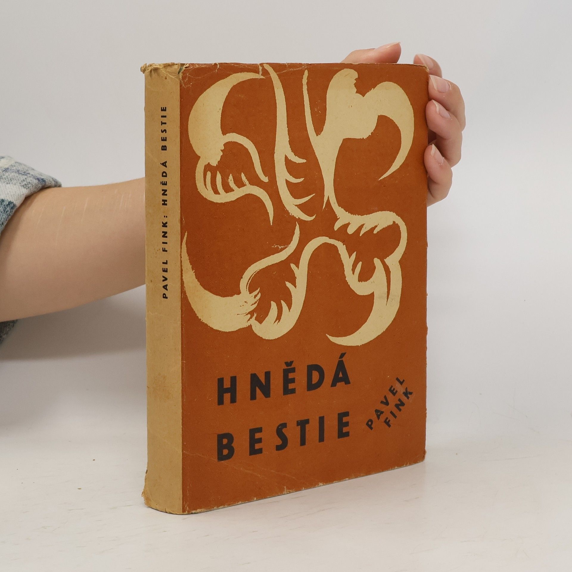 Pavel Fink Hnědá bestie