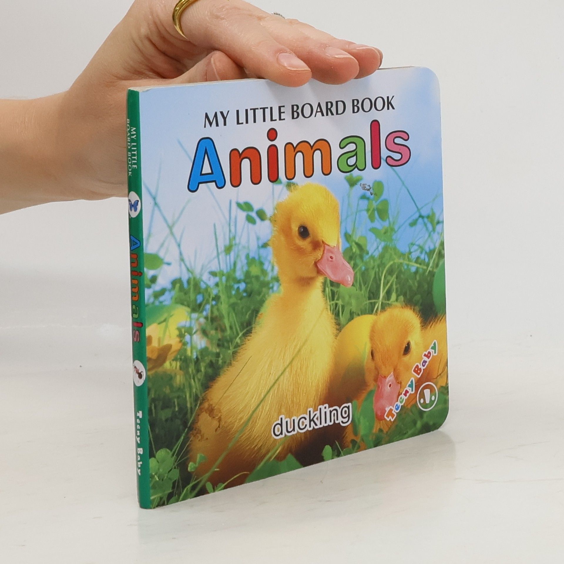 Collectif d'auteurs My Little Board Book. Animals
