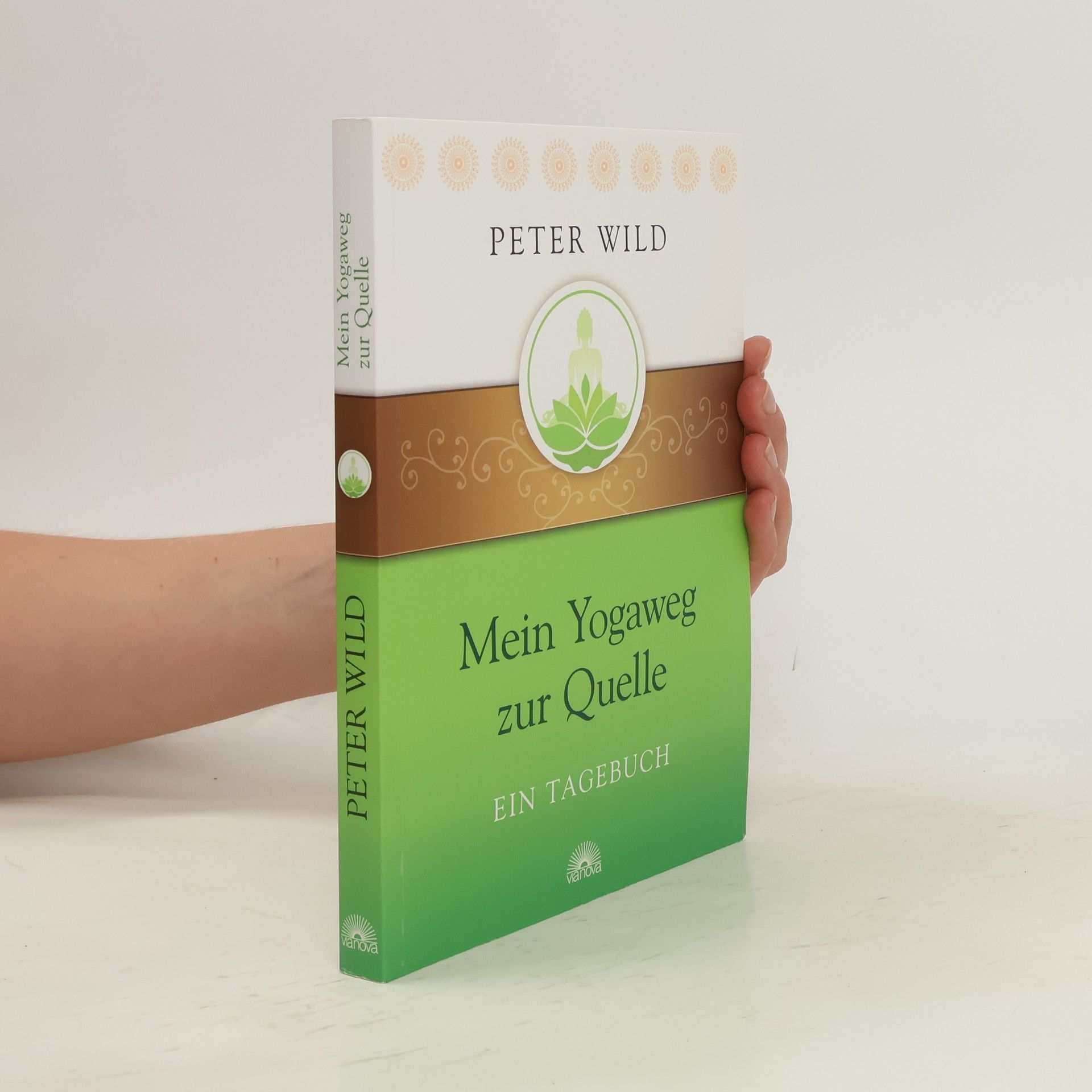 Peter Wild Mein Yogaweg zur Quelle