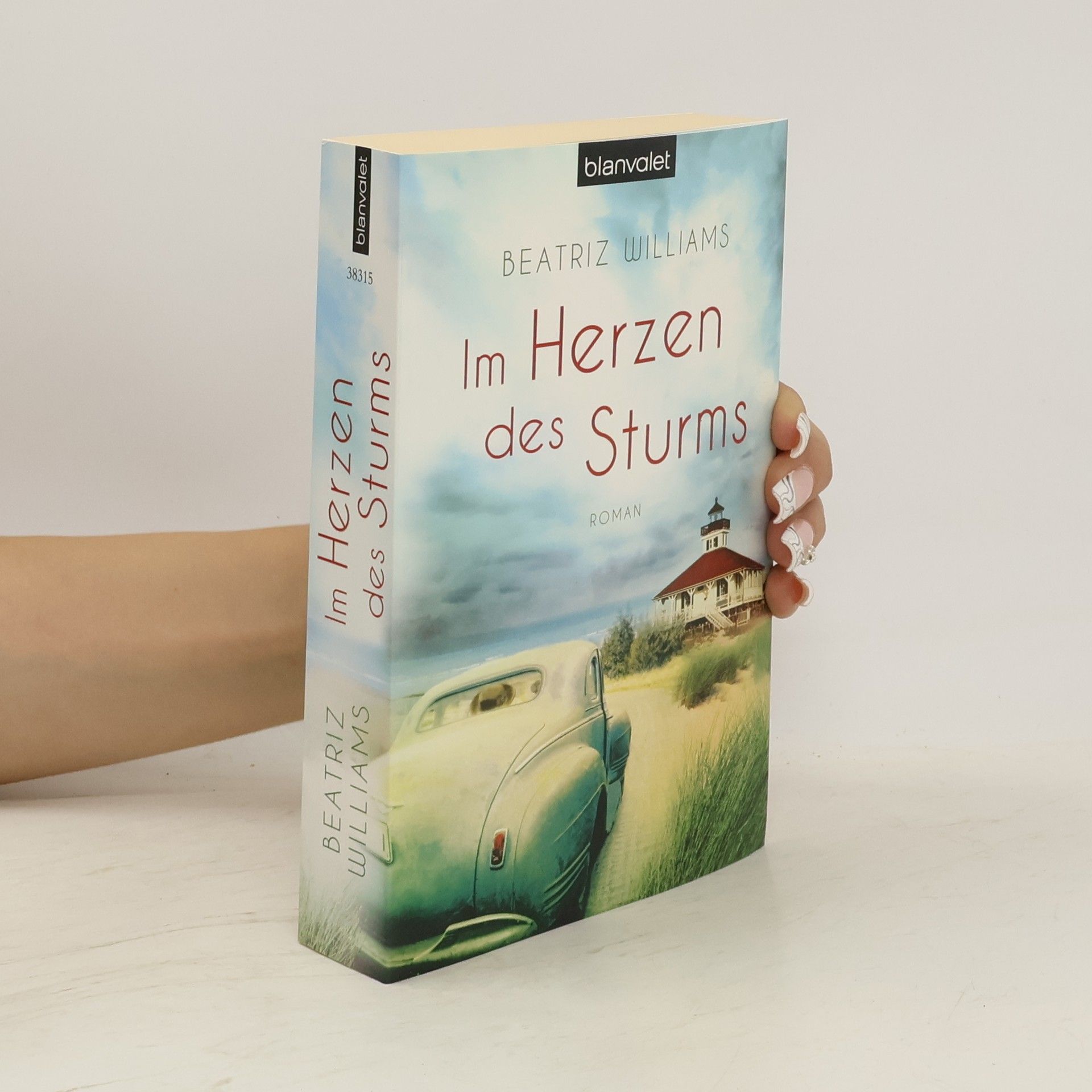 Beatriz Williams Im Herzen des Sturms