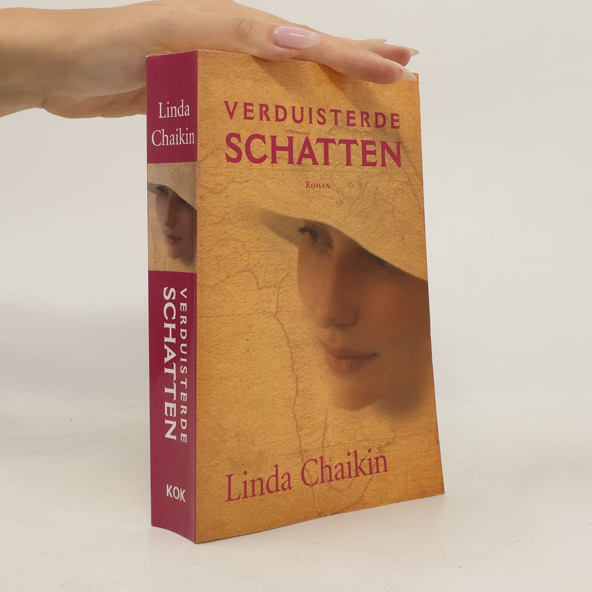 Linda Lee Chaikin Verduisterde schatten