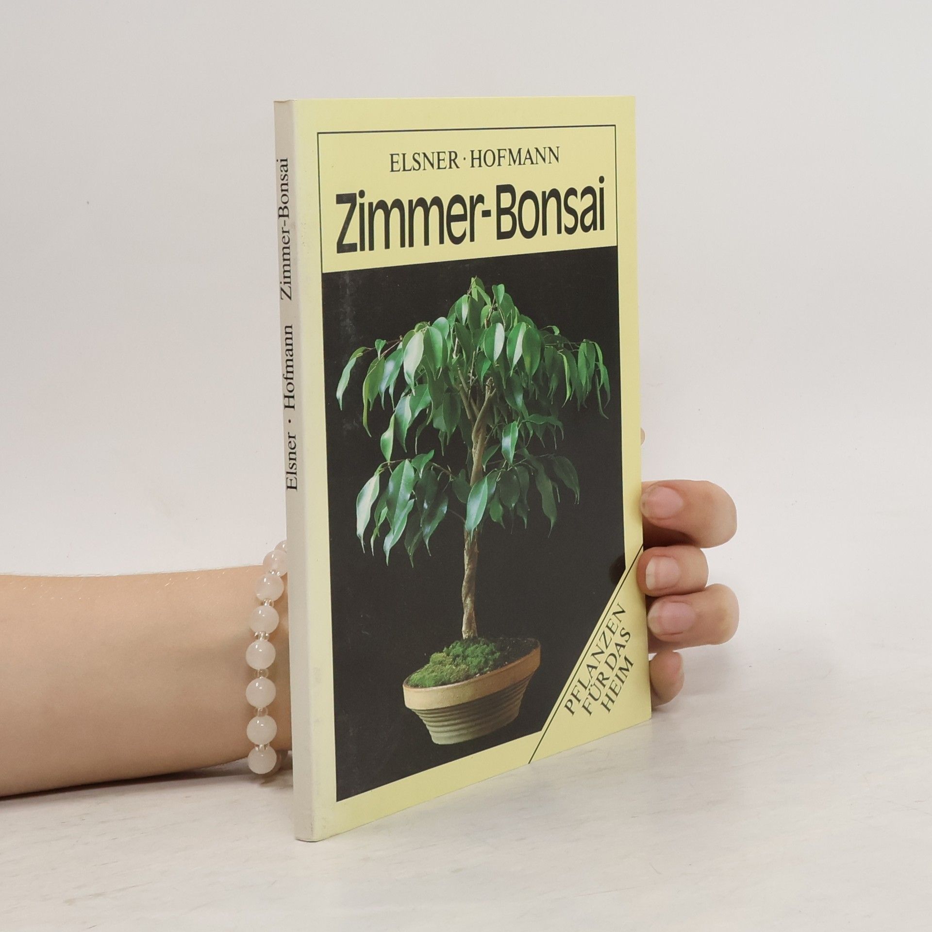 Wilhelm Elsner Zimmer-Bonsai