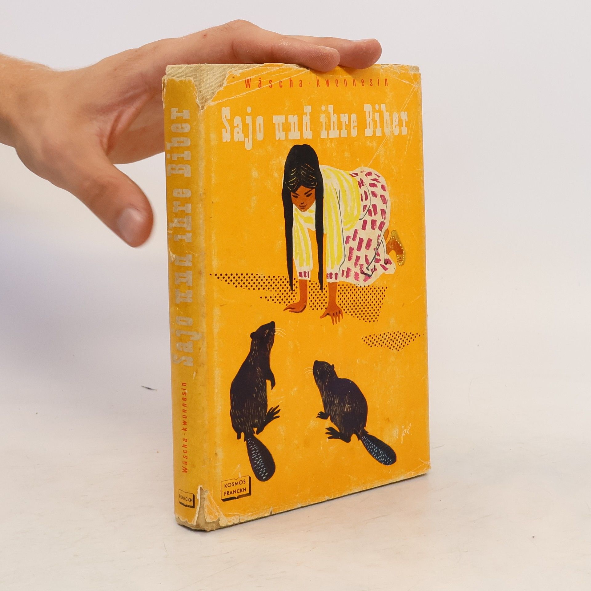 Collectif d'auteurs Sajo und ihre Biber