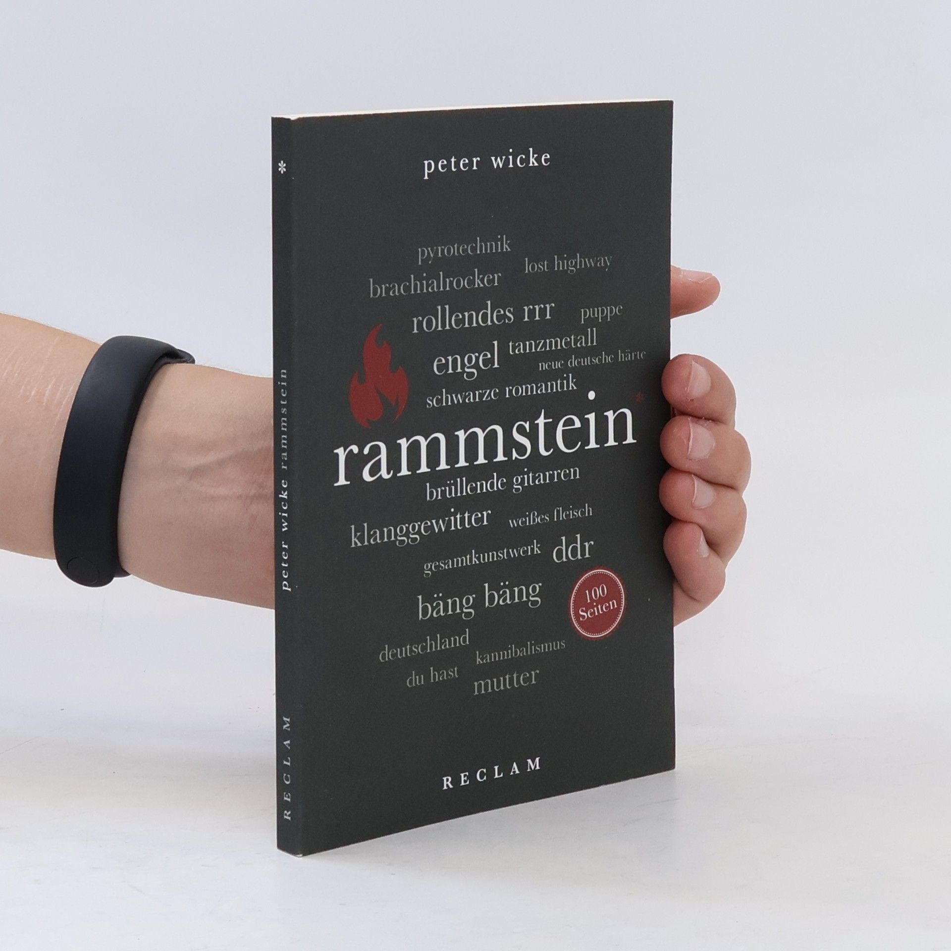 Peter Wicke Rammstein, 100 Seiten
