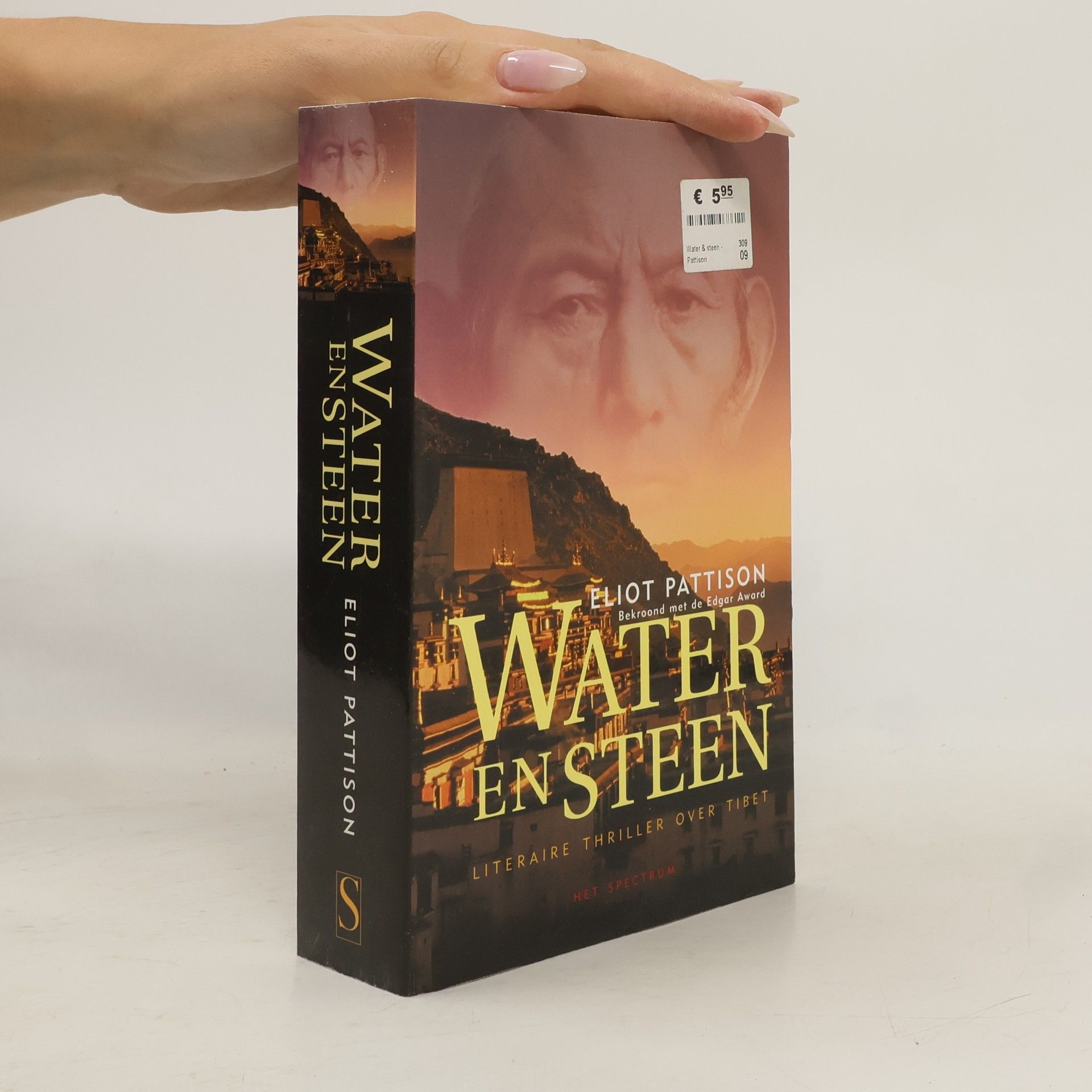 Eliot Pattison Water en steen