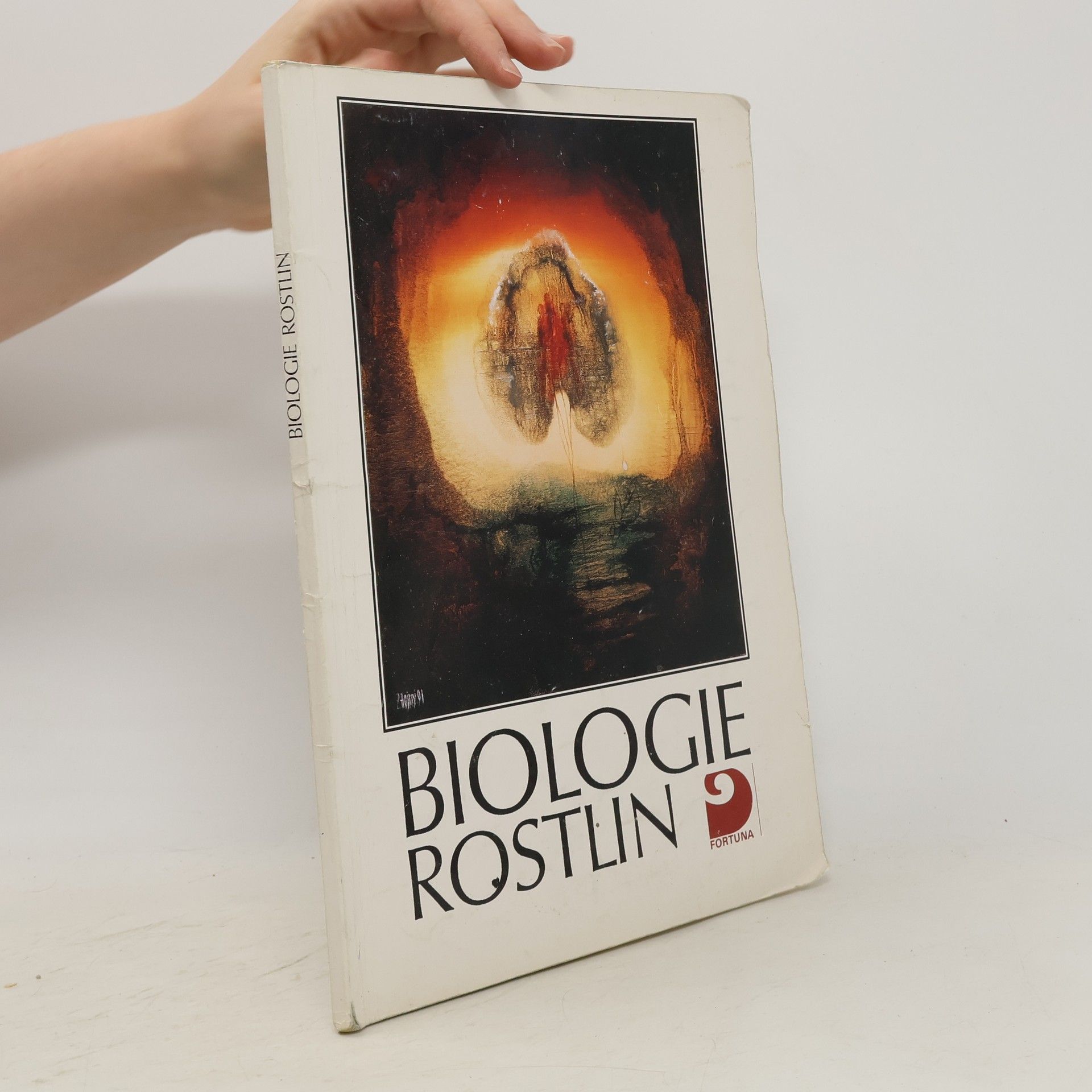 Autorenkollektiv Biologie rostlin: Pro 1. ročník gymnázií