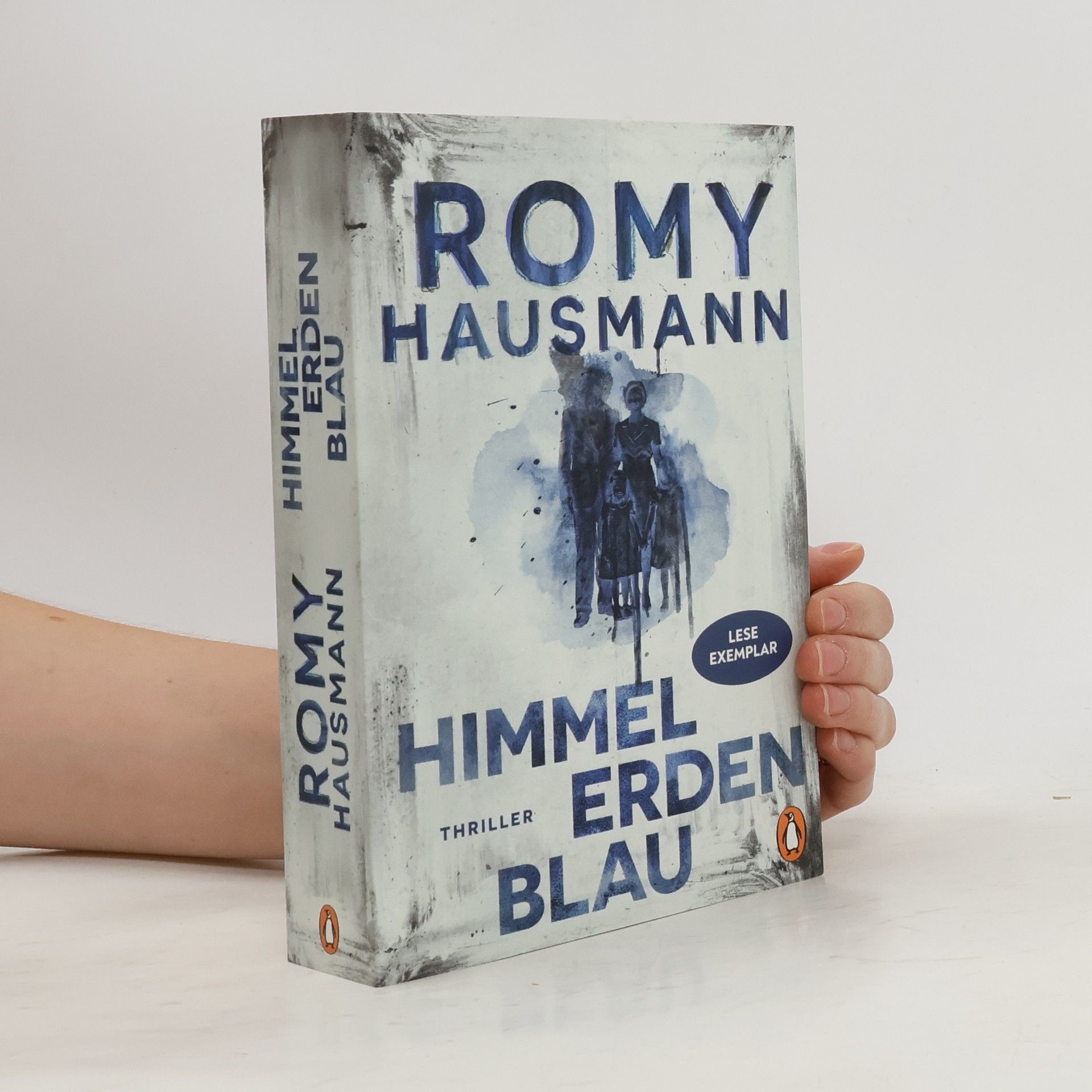 Romy Hausmann Himmelerdenblau