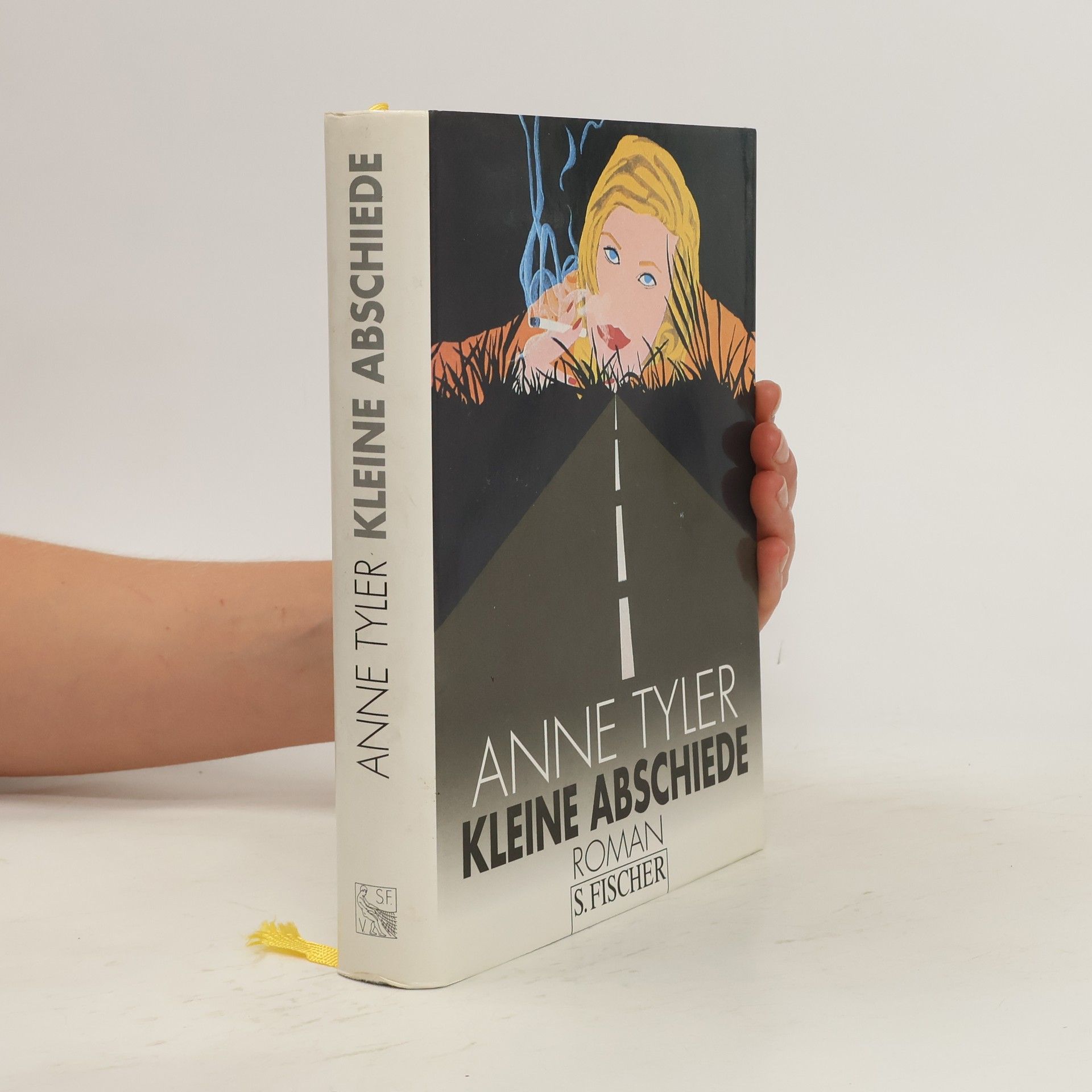 Anne Tyler Kleine Abschiede