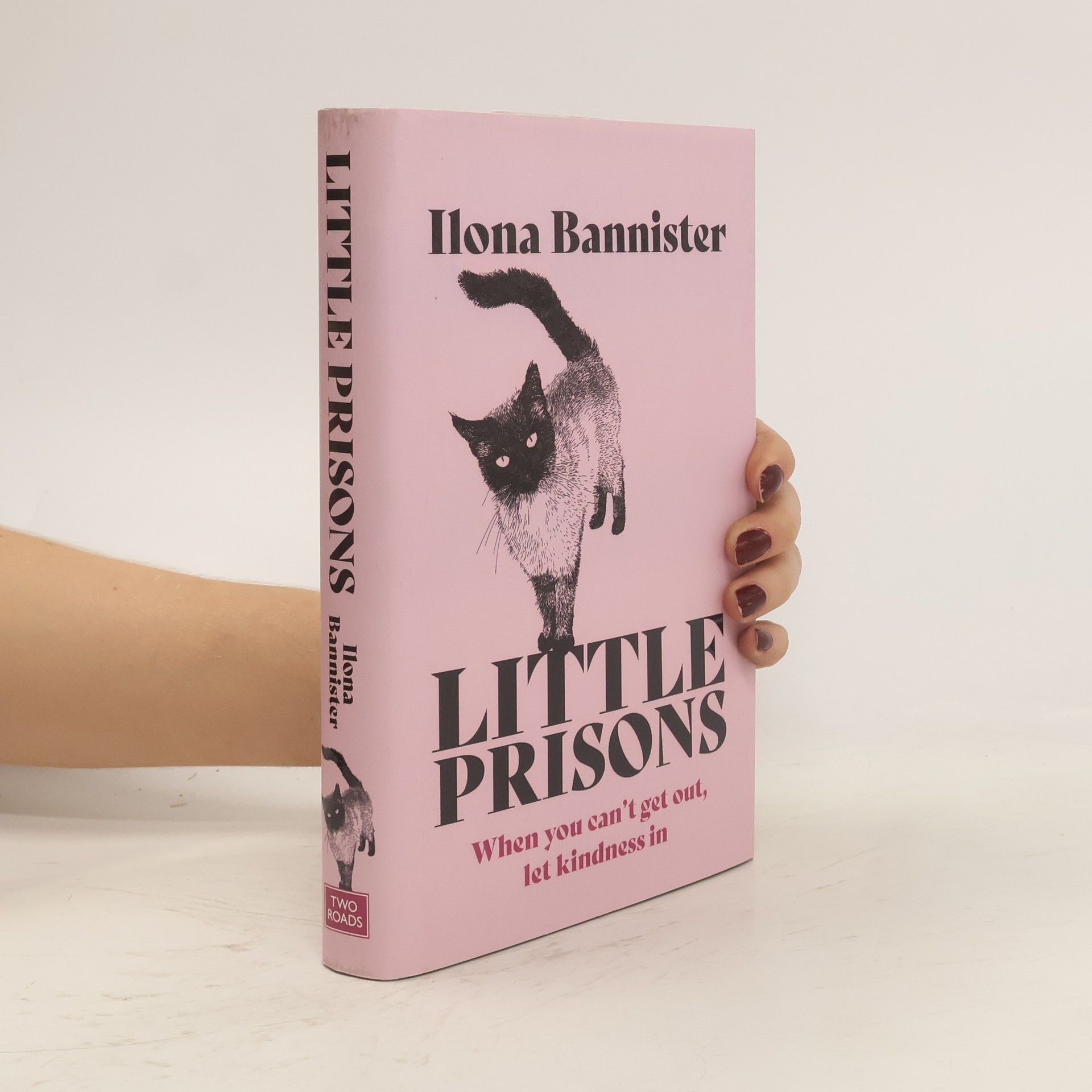 Ilona Bannister Little Prisons