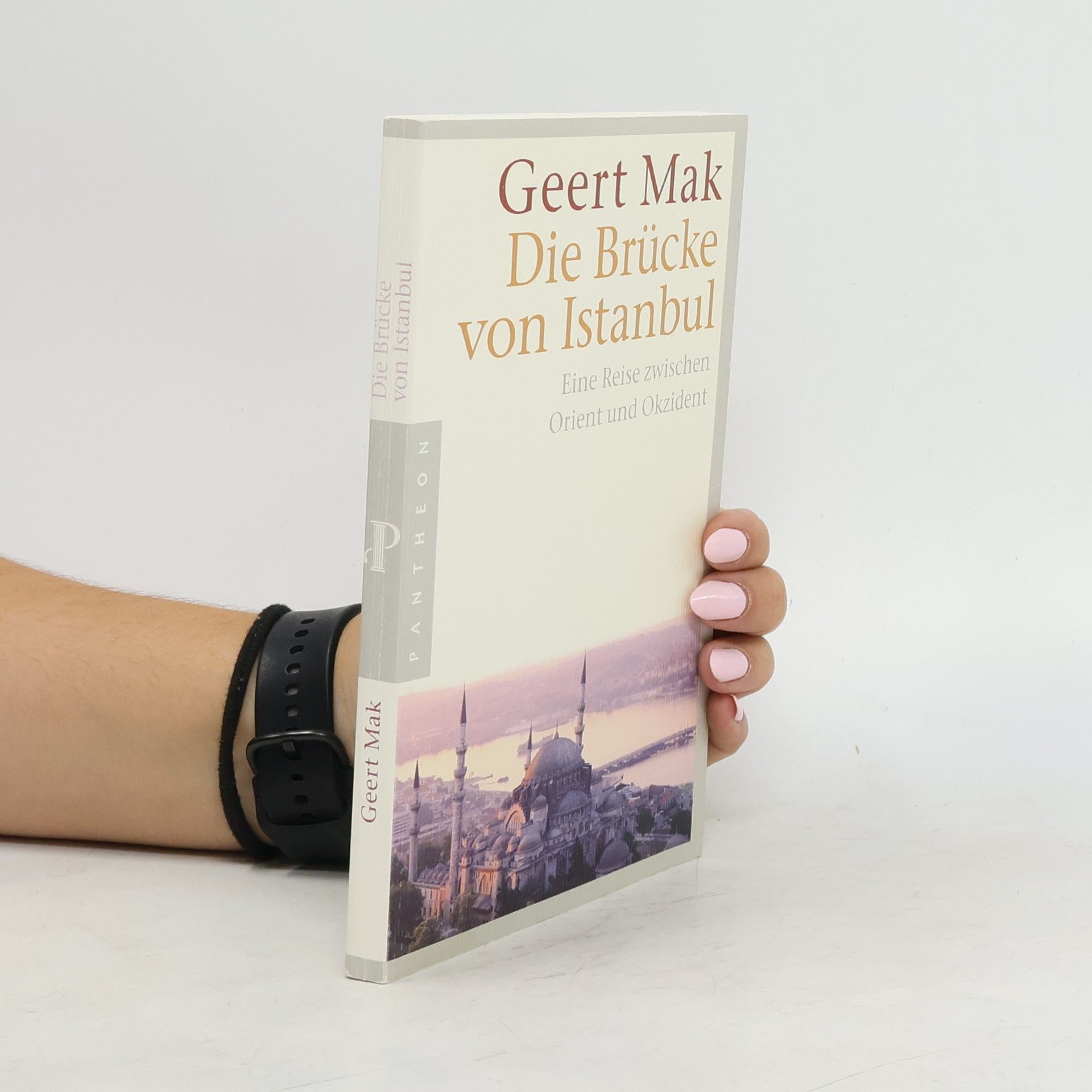 Geert Mak Die Brücke von Istanbul