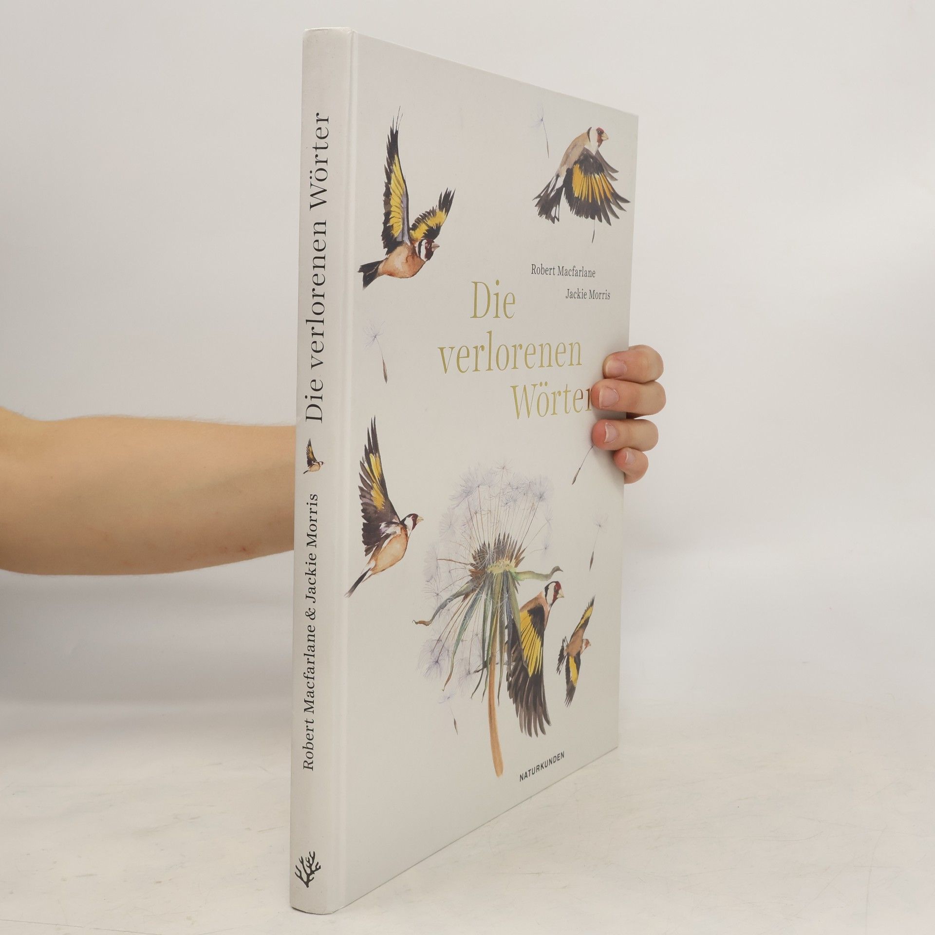 Robert McFarlane Die verlorenen Wörter
