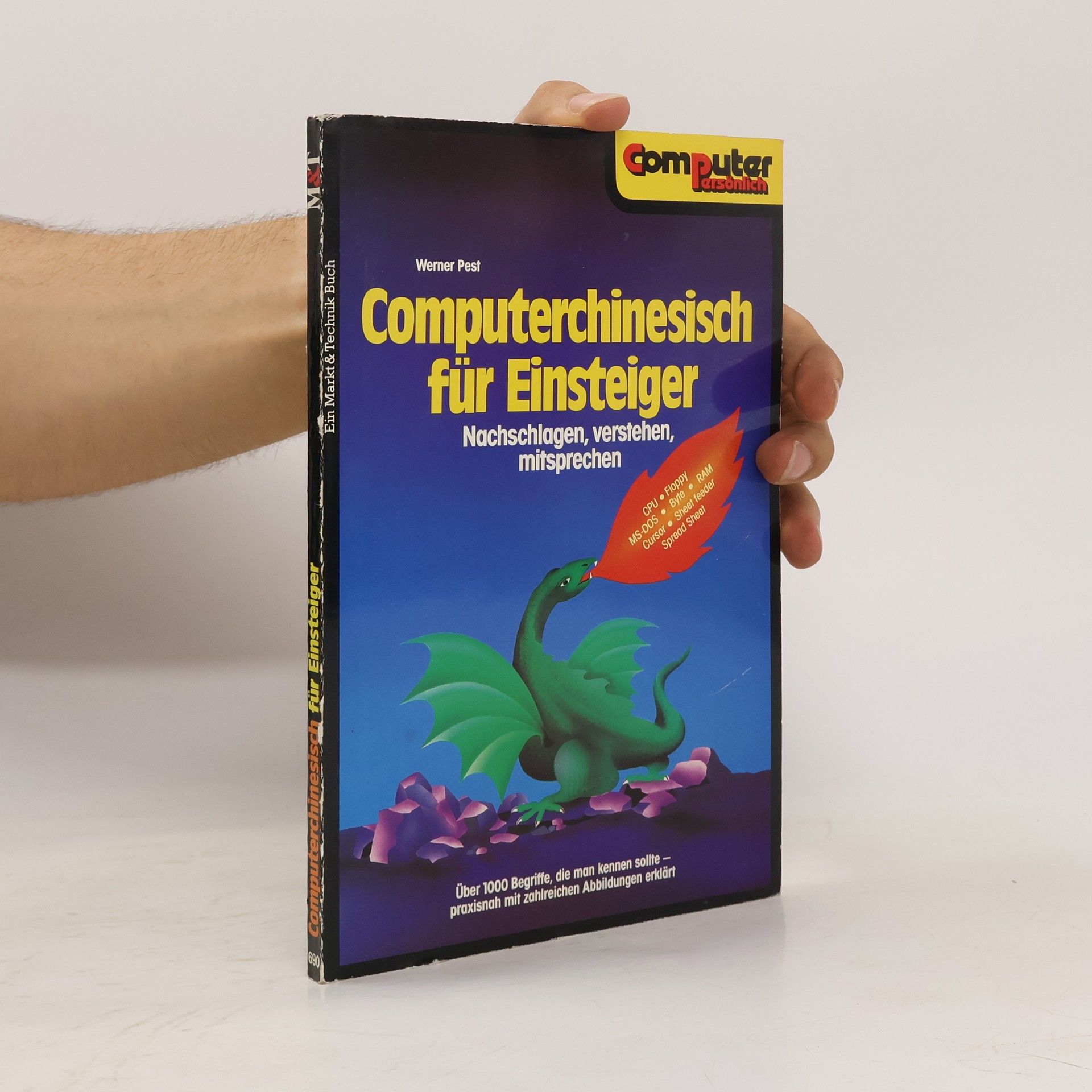 Werner Pest Computerchinesisch für Einsteiger