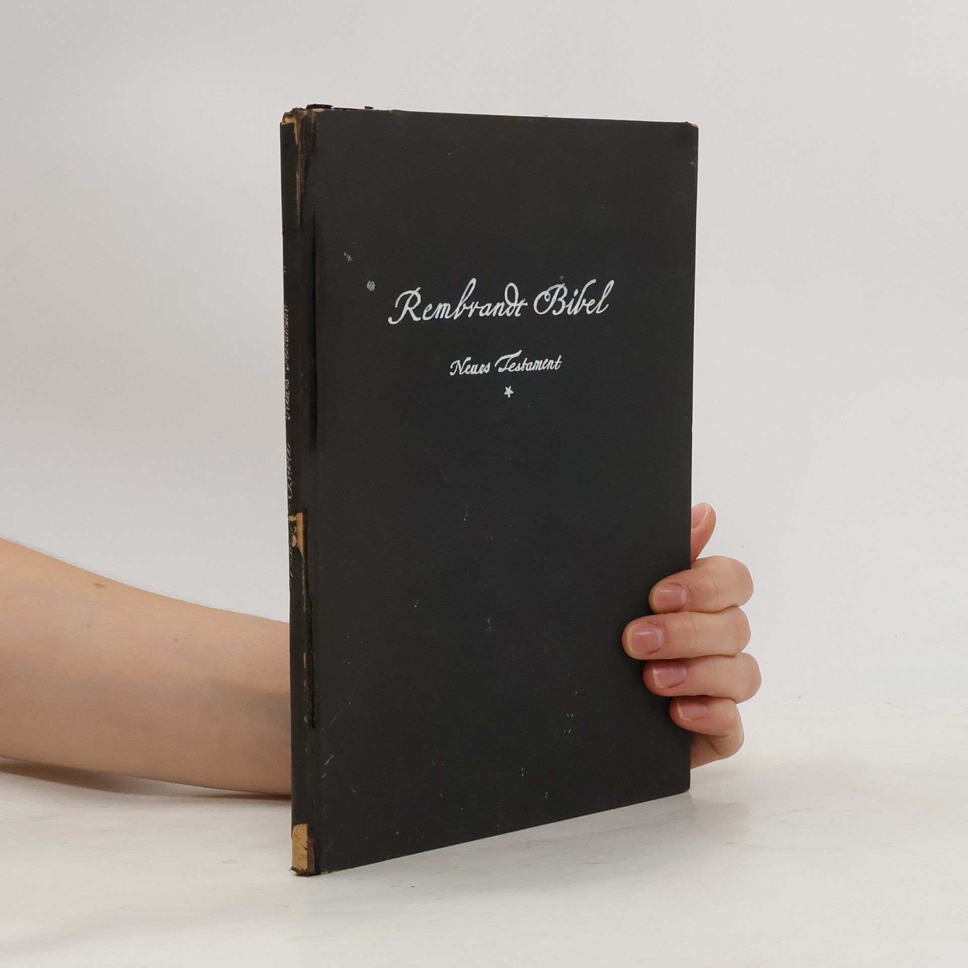 E. W. Bredt Rembrandt - Bibel