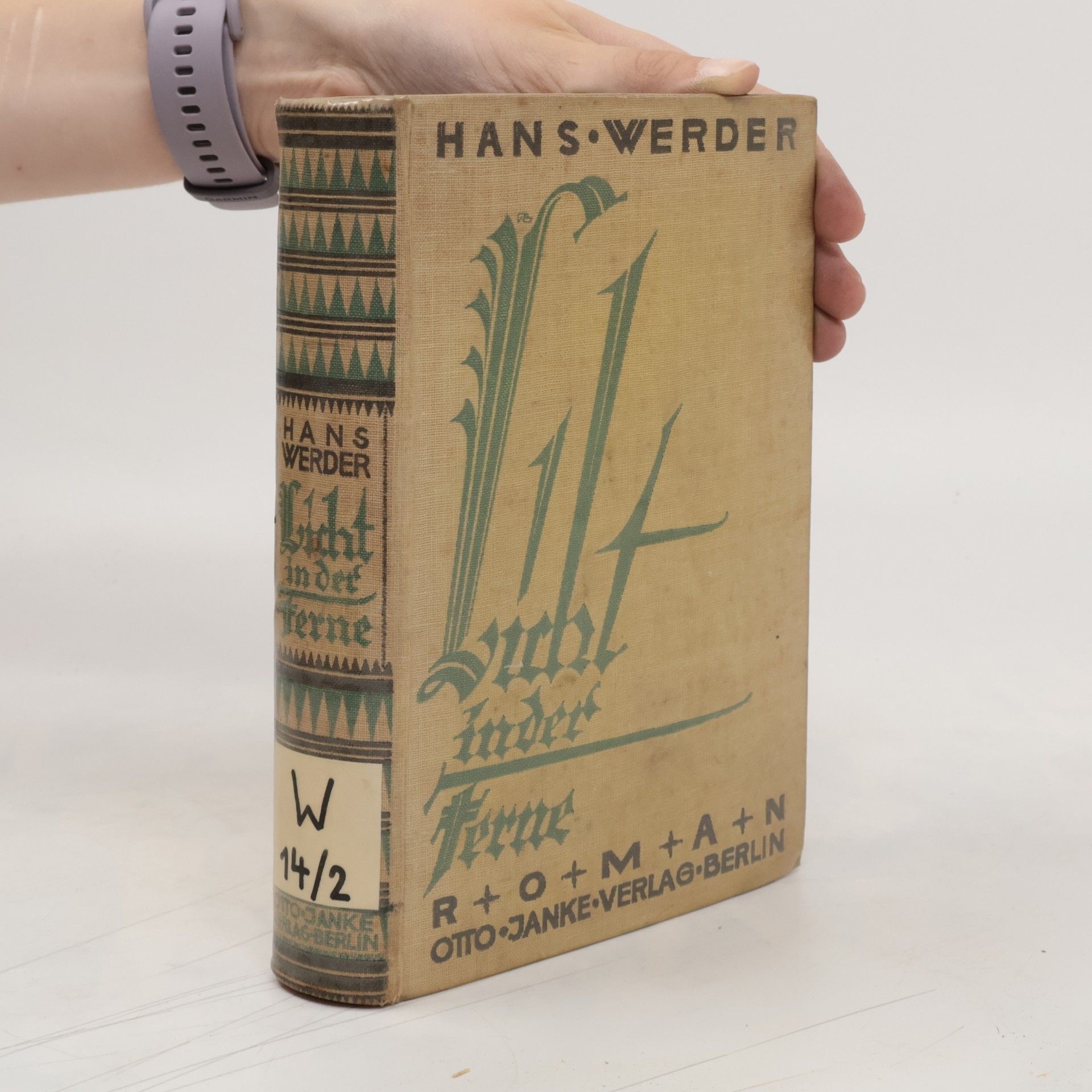 Hans Werder Licht in die Ferne