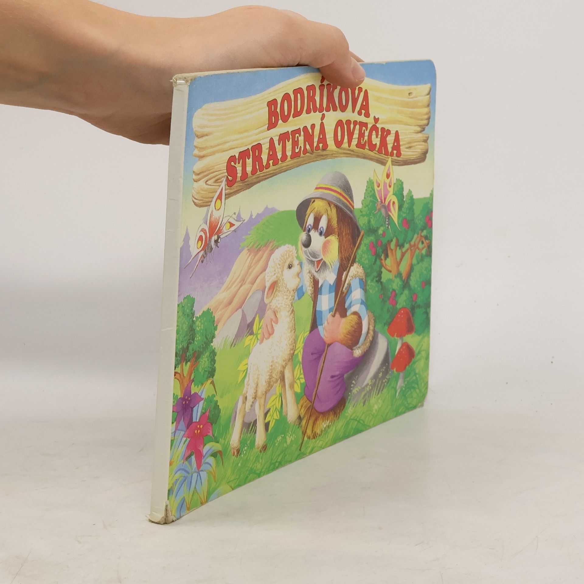 Autores varios Bordíkova stratená ovečka