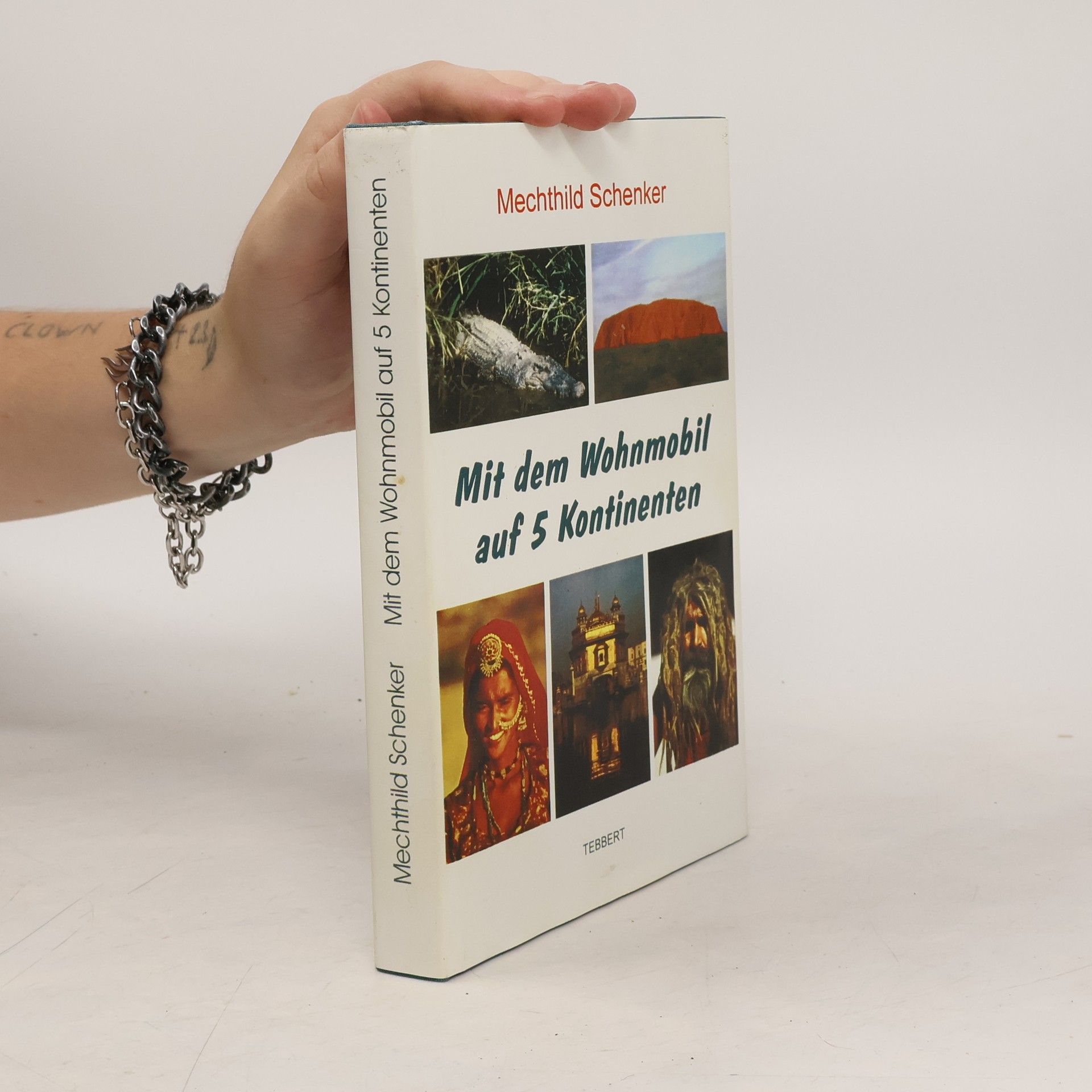 Mit dem Wohnmobil auf 5 Kontinenten