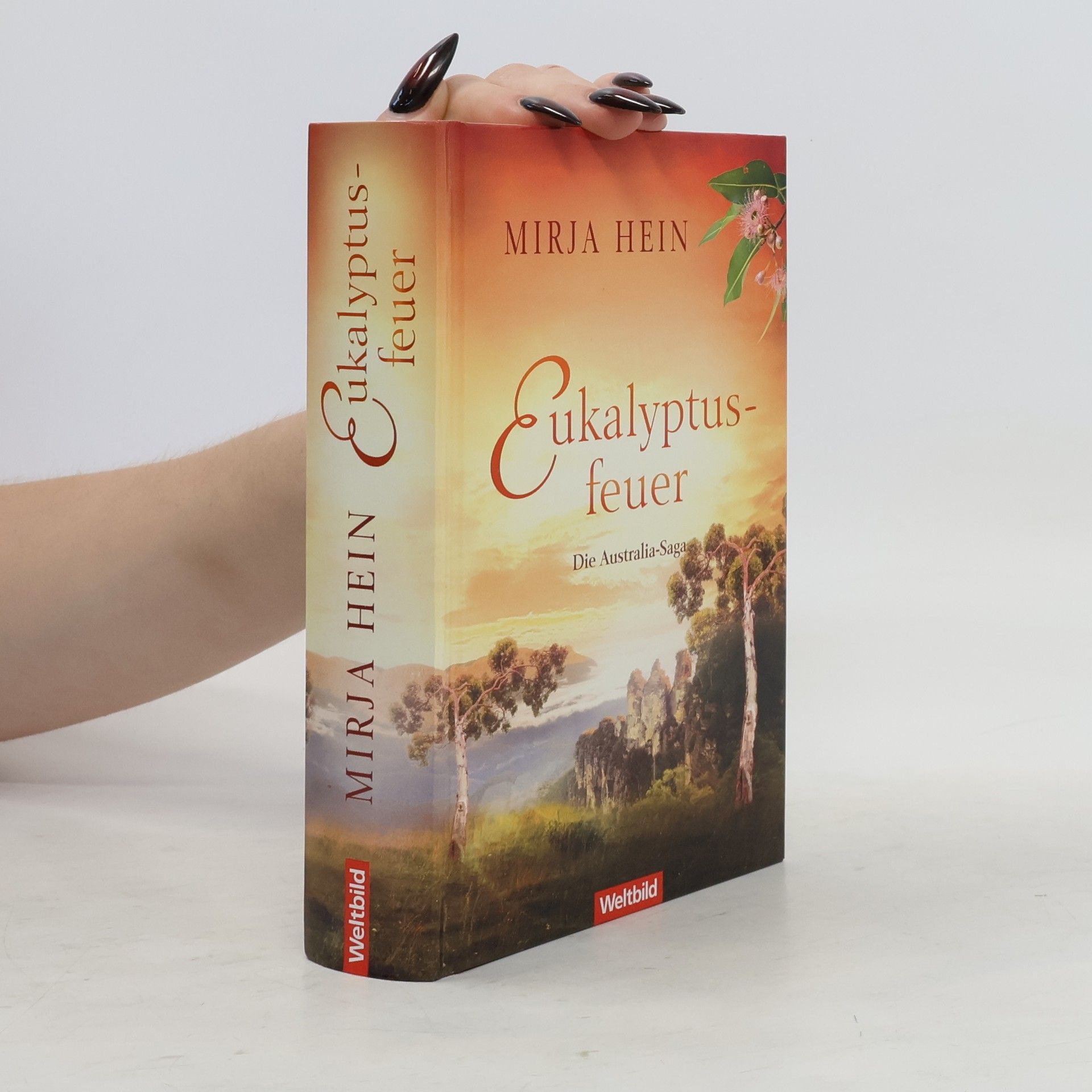 Mirja Hein Die Australia-Saga. Eukalyptusfeuer