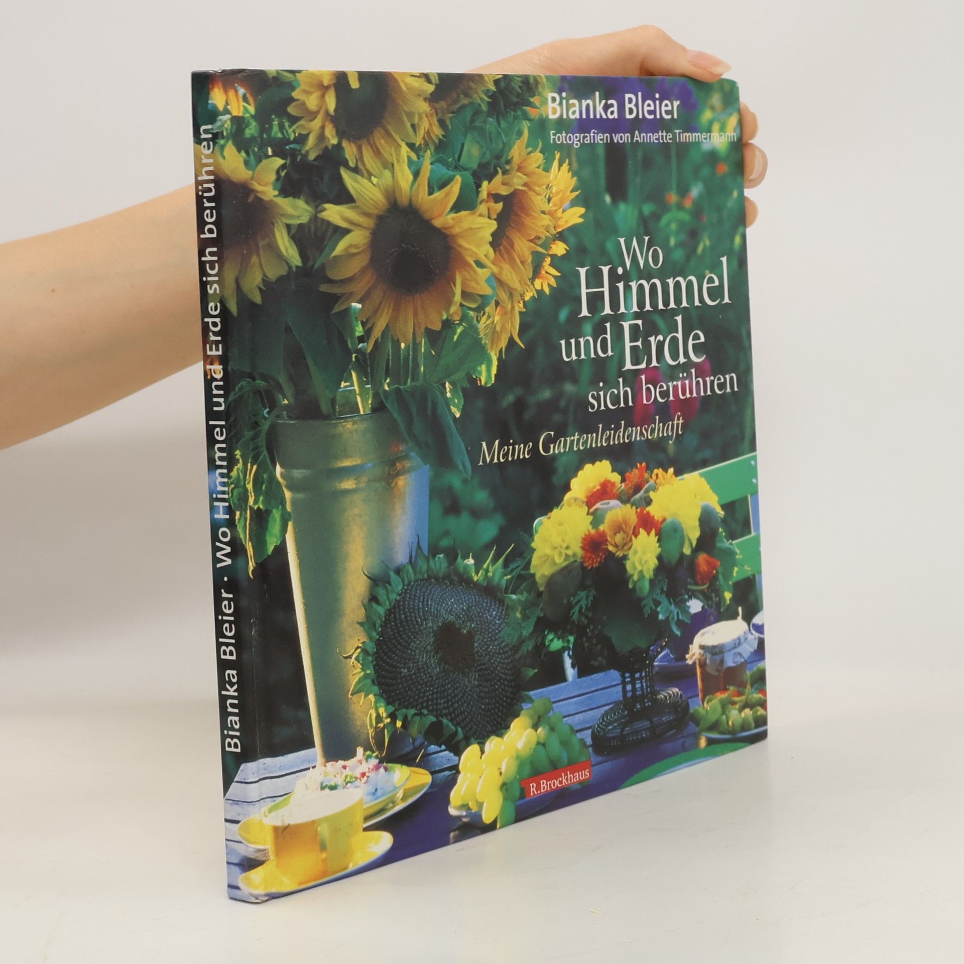 Bianka Bleier Wo Himmel und Erde sich berühren