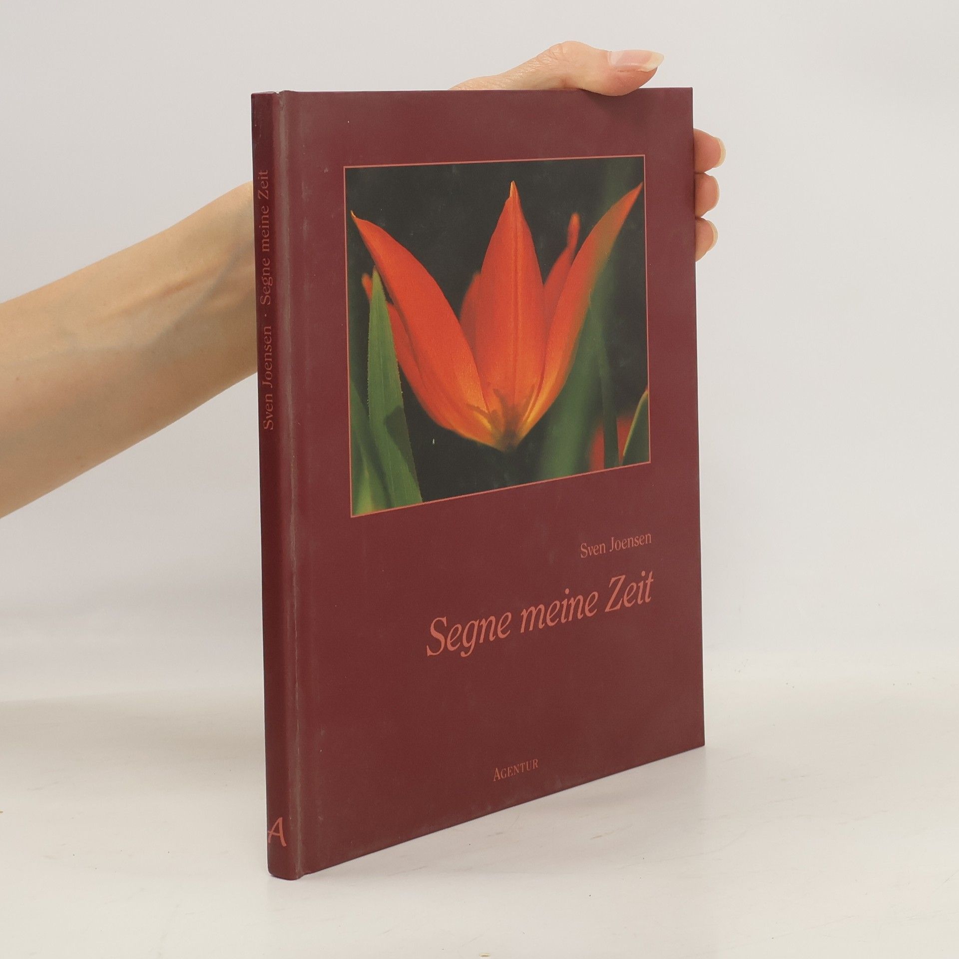 Sven Joensen Segne meine Zeit