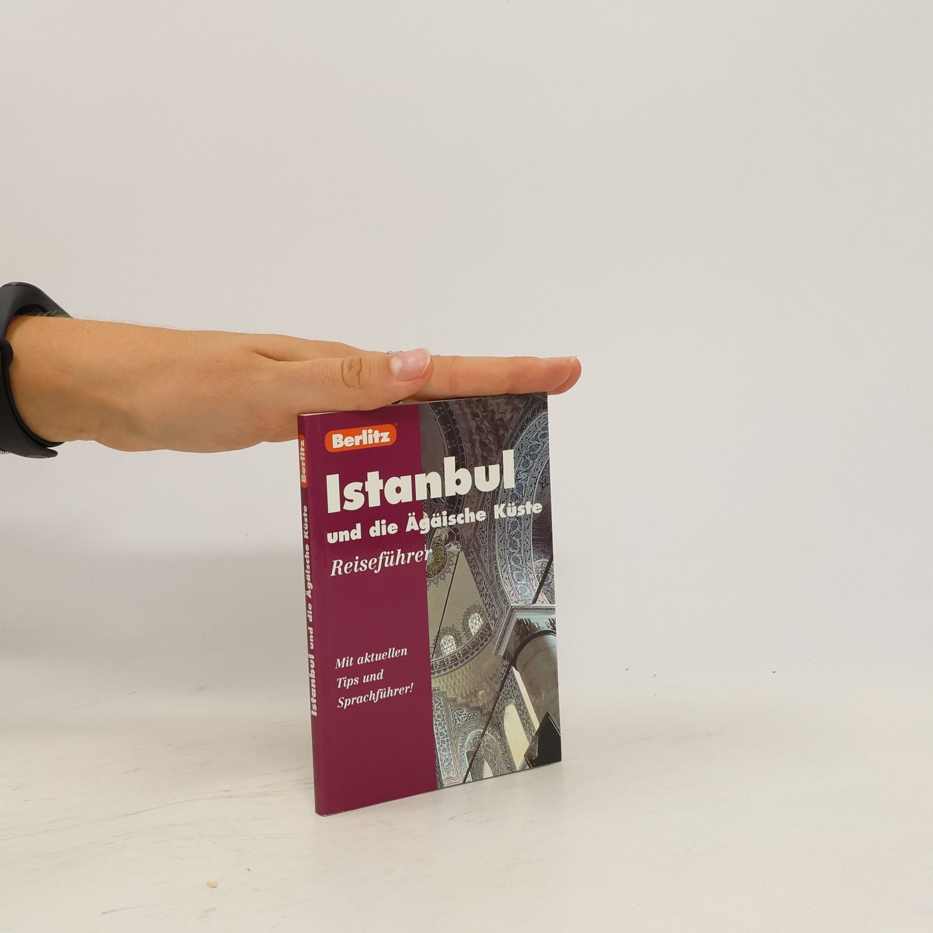 Neil Wilson Berlitz Istanbul und die Ägäische Küste.