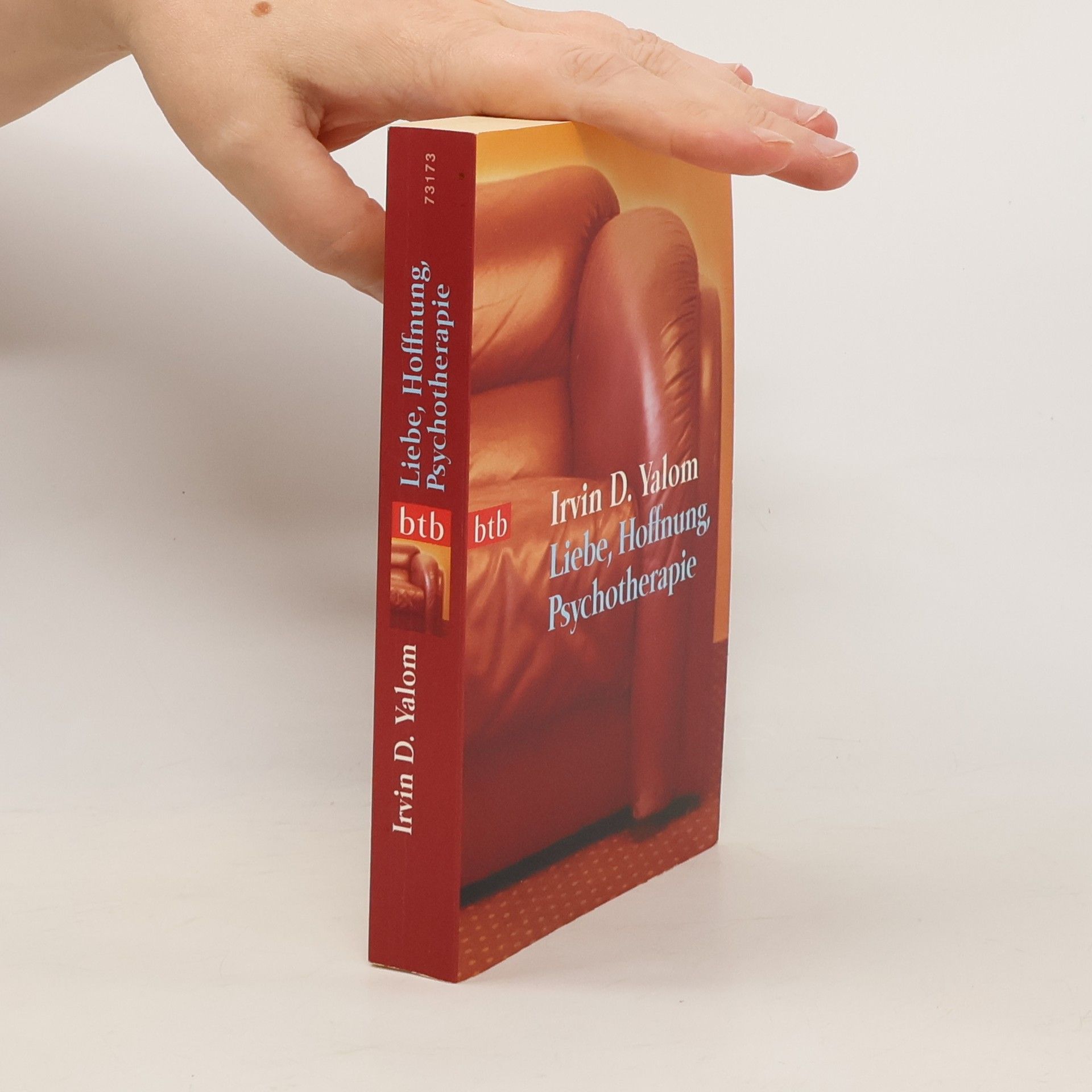Irvin Yalom Liebe, Hoffnung, Psychotherapie