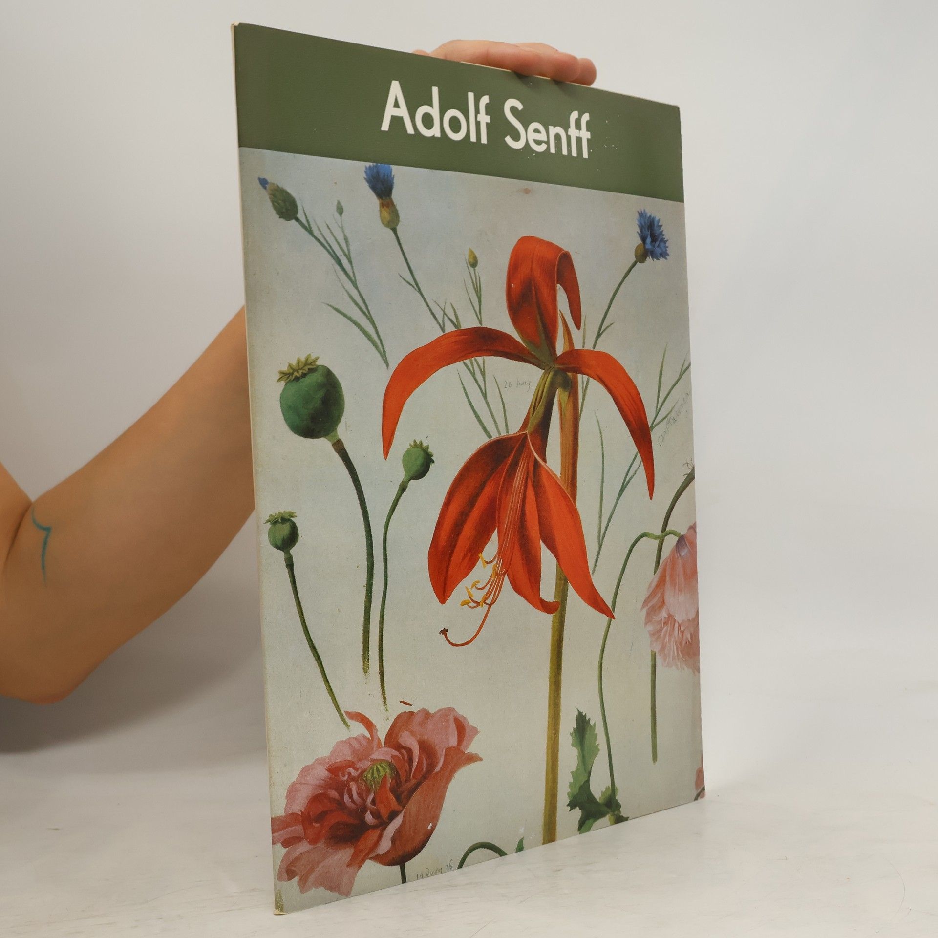 Collectif d'auteurs Adolf Senff