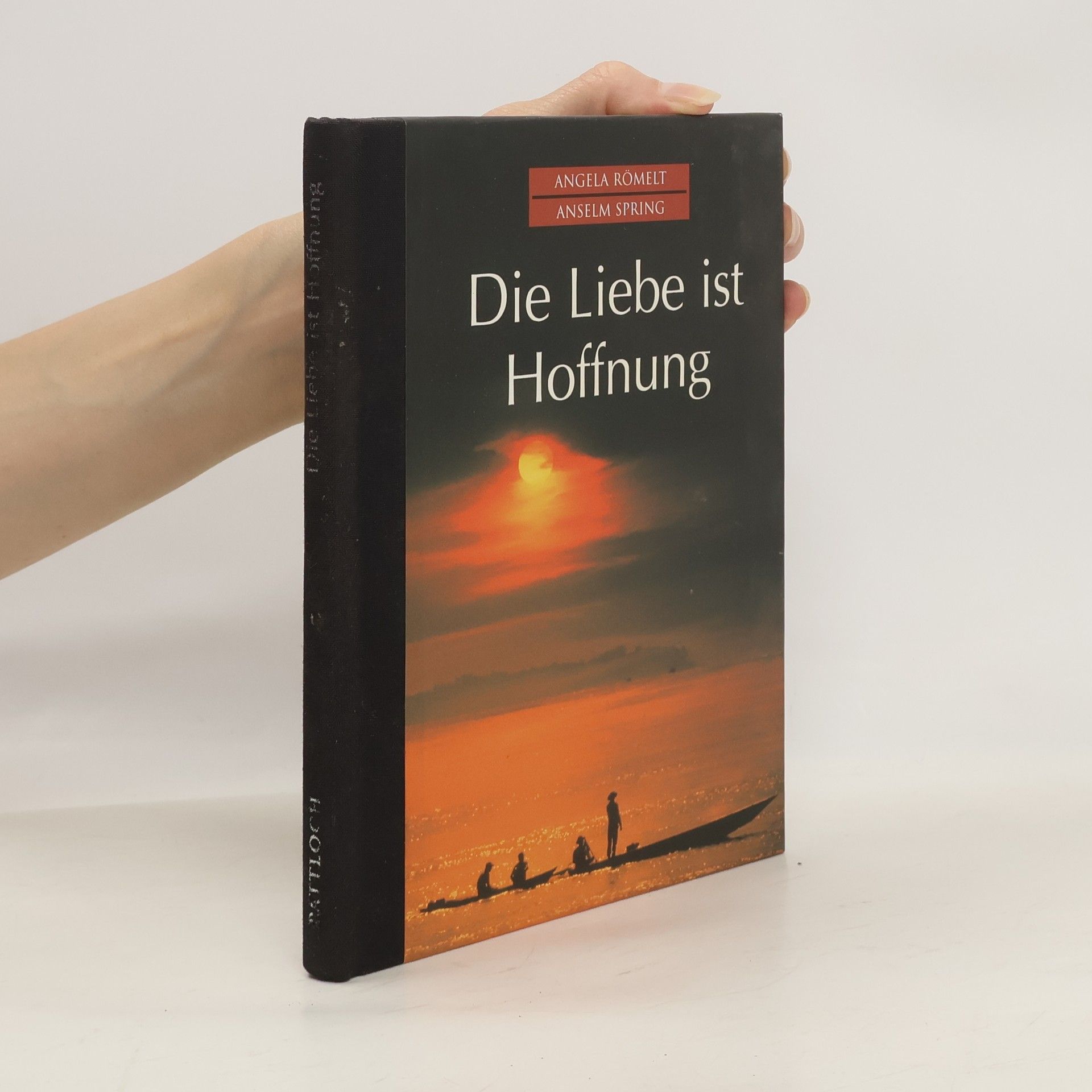 Anselm Spring Die Liebe ist Hoffnung