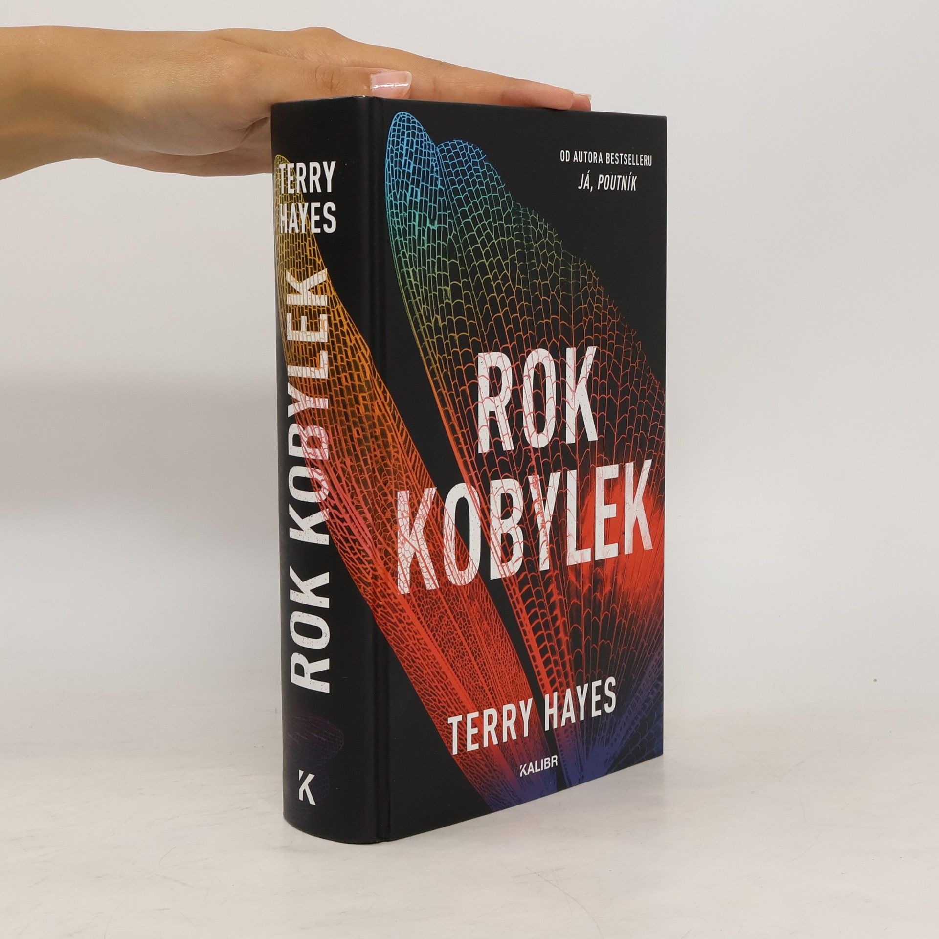 Terry Hayes Rok kobylek