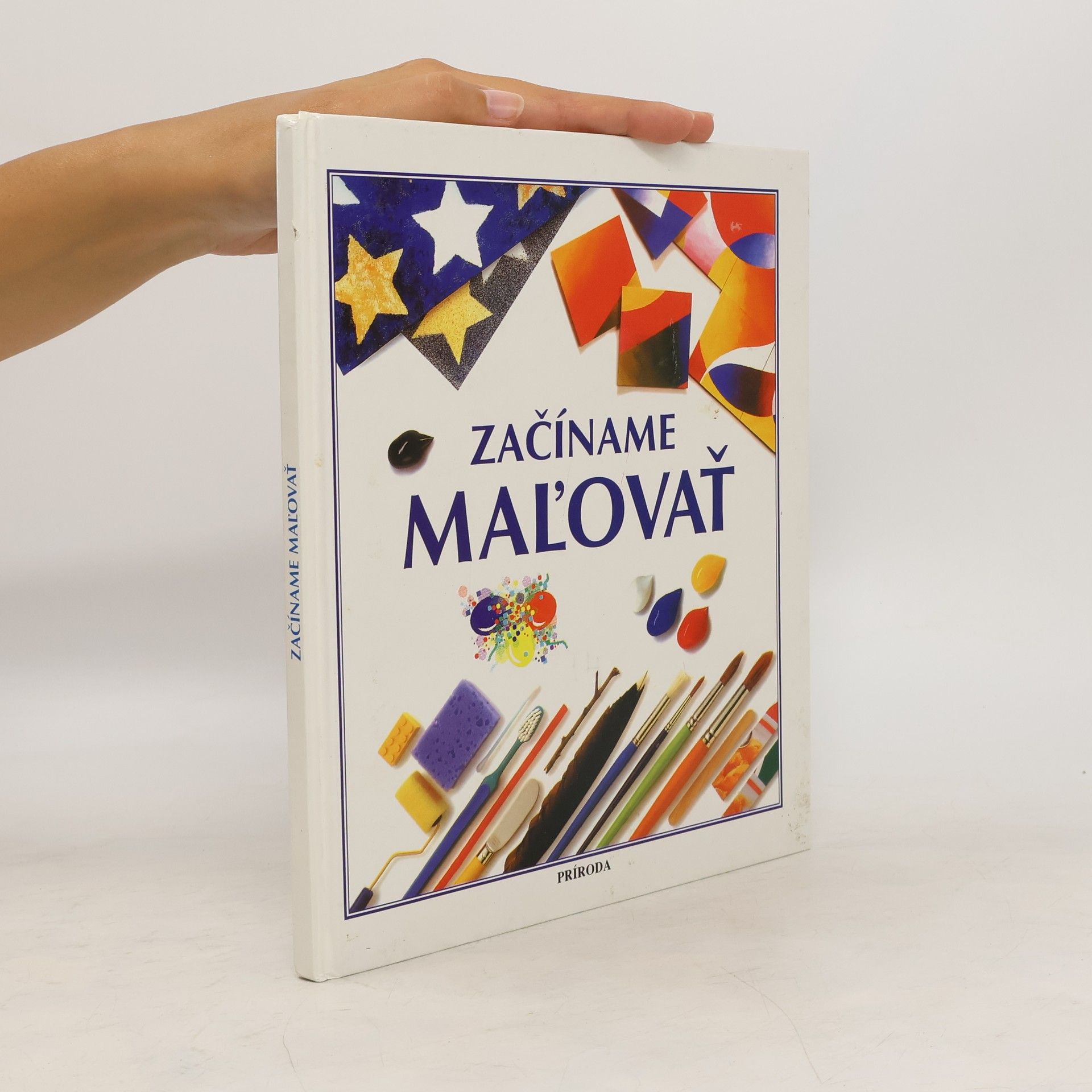 Susan Mayes Začíname maľovať