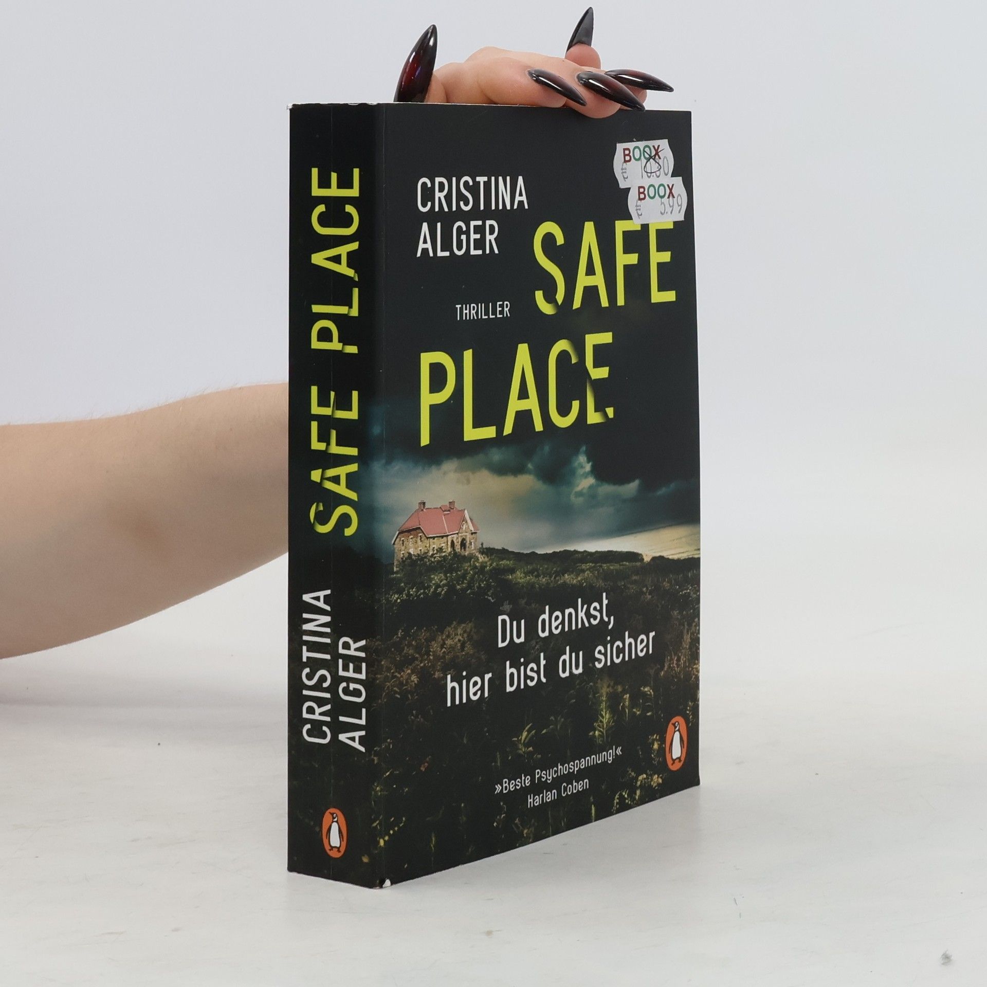 Cristina Alger Safe Place