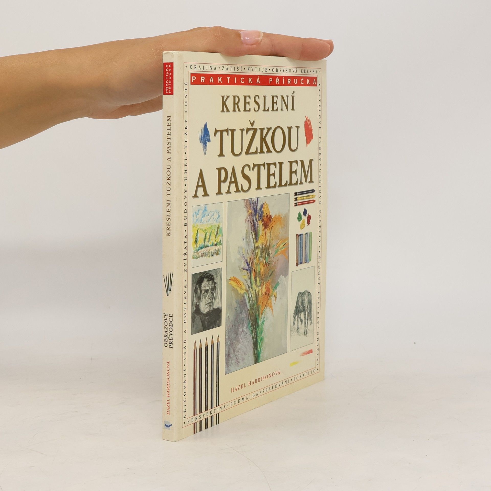 Hazel Harrison Kreslení tužkou a pastelem