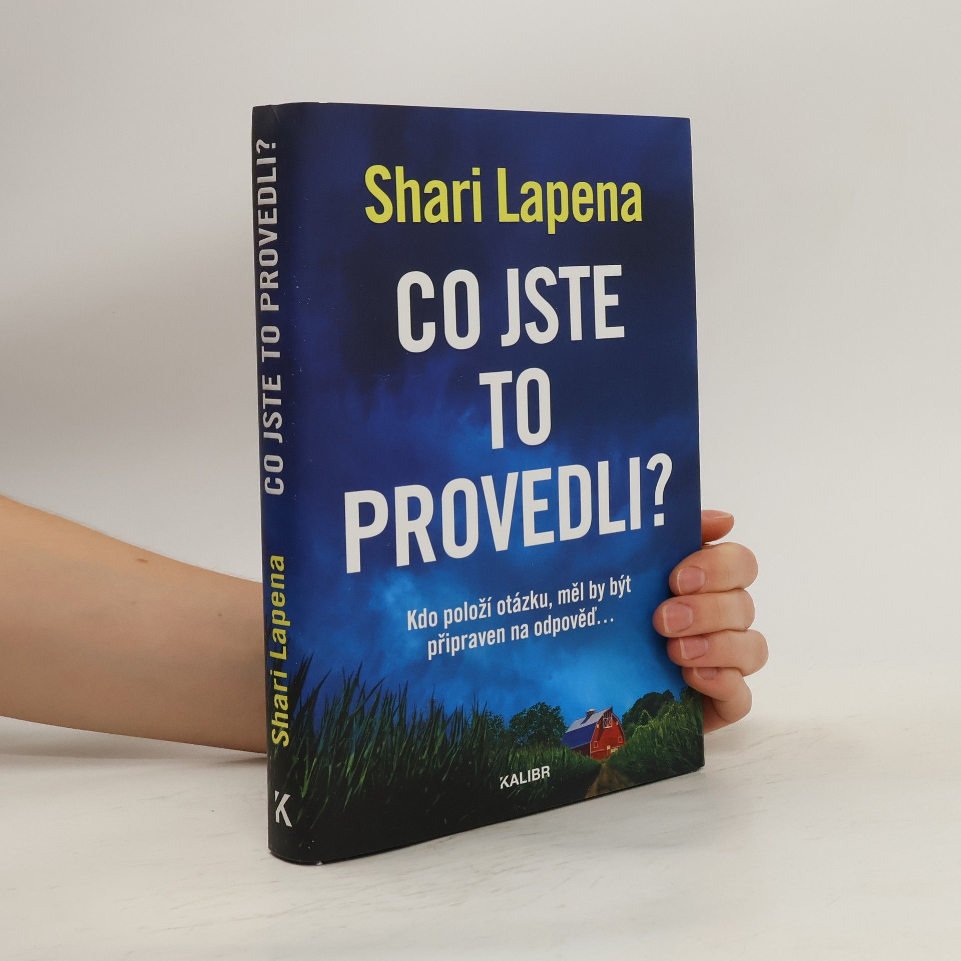 Shari Lapena Co jste to provedli?