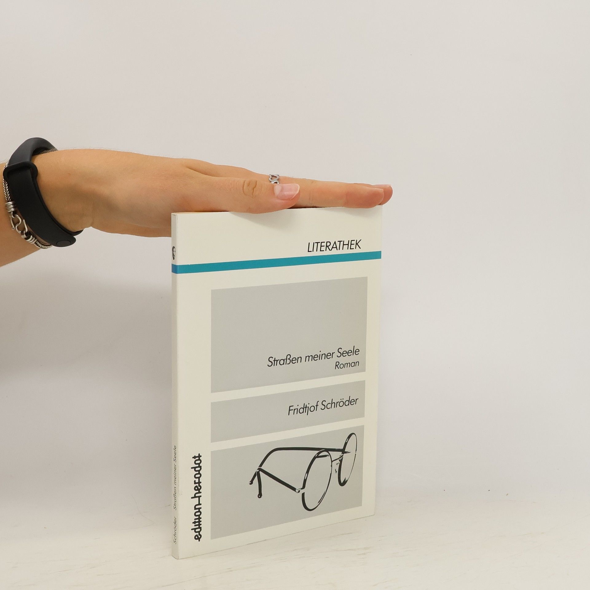 Fridtjof Schröder Straßen meiner Seele