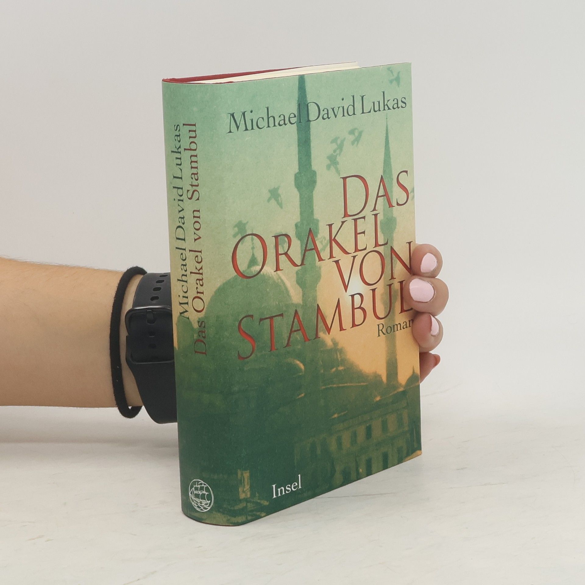 Michael David Lukas Das Orakel von Stambul