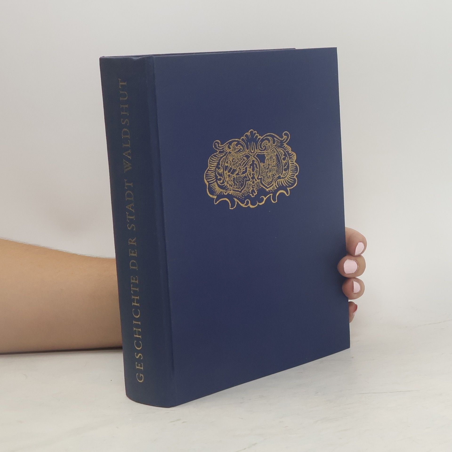 Joseph Ruch Geschichte der Stadt Waldshut