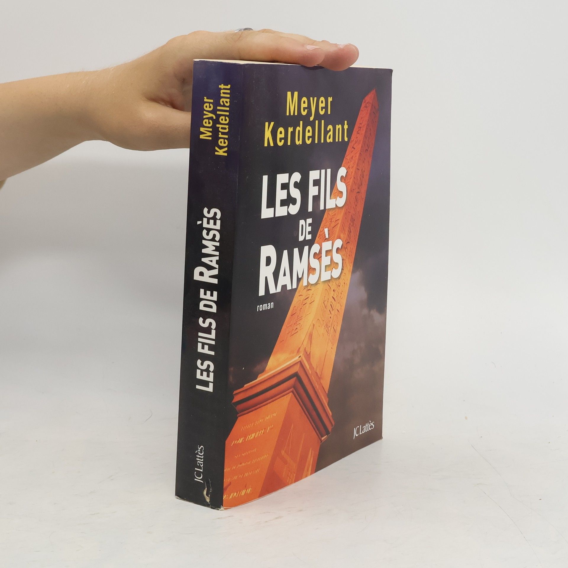 Éric Meyer Les fils de Ramsès