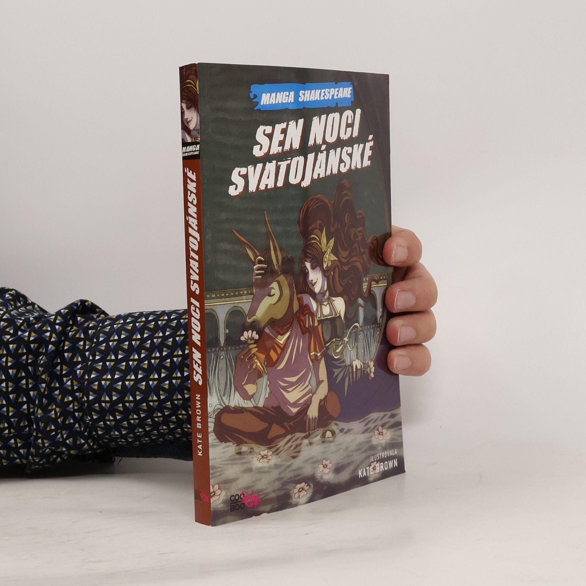 Richard Appignanesi Sen noci svatojánské (komiks)