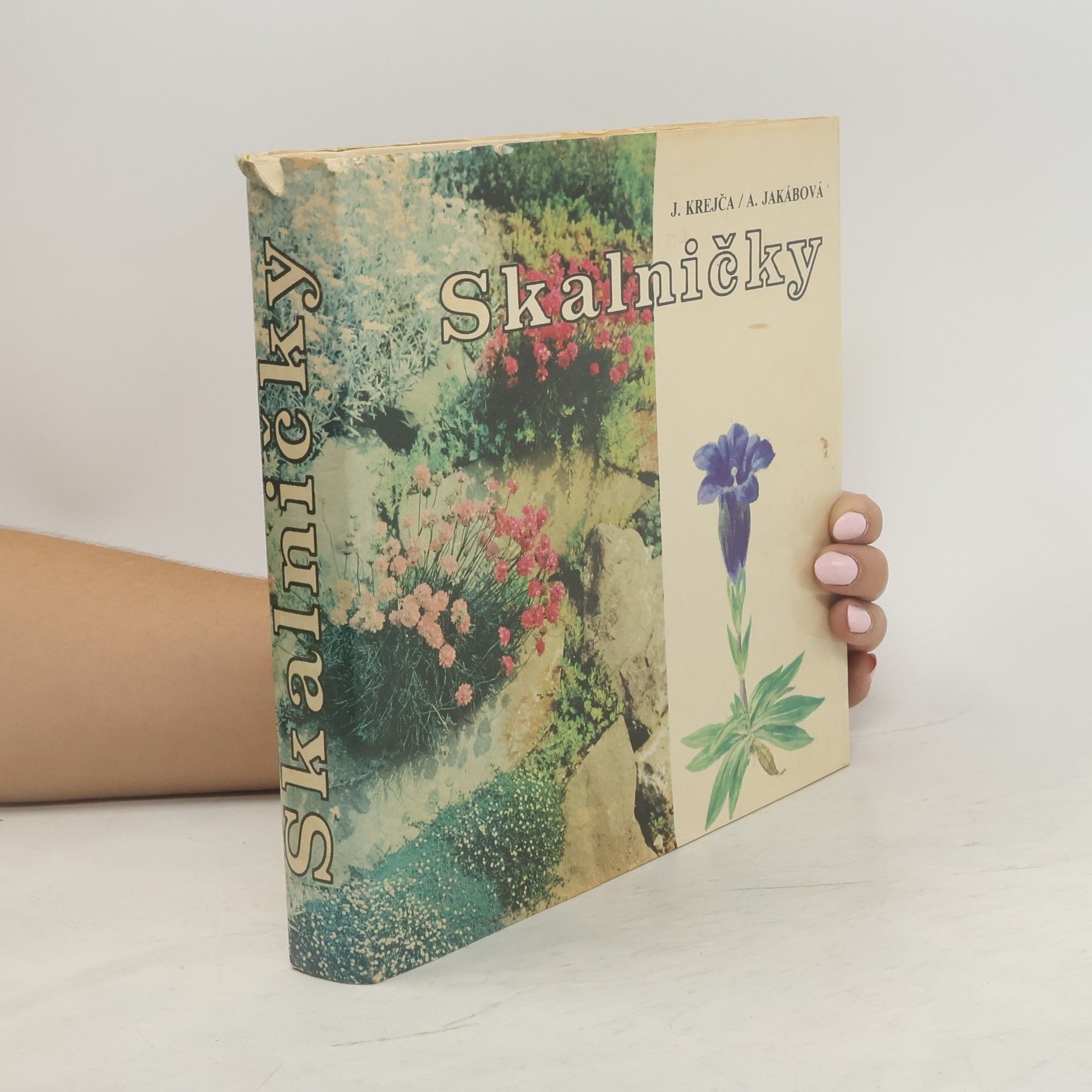 Jindřich Krejča Skalničky