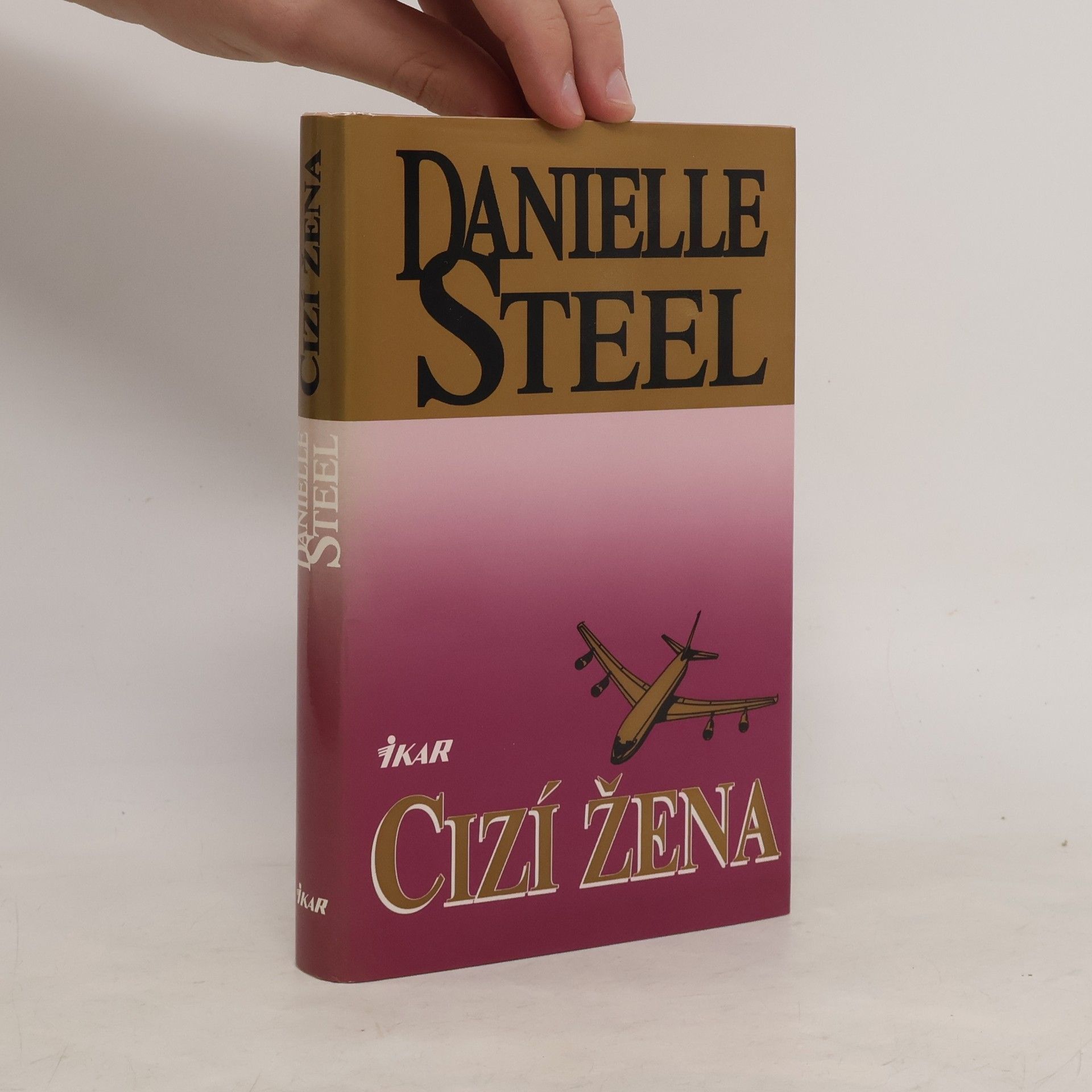 Danielle Steel Cizí žena