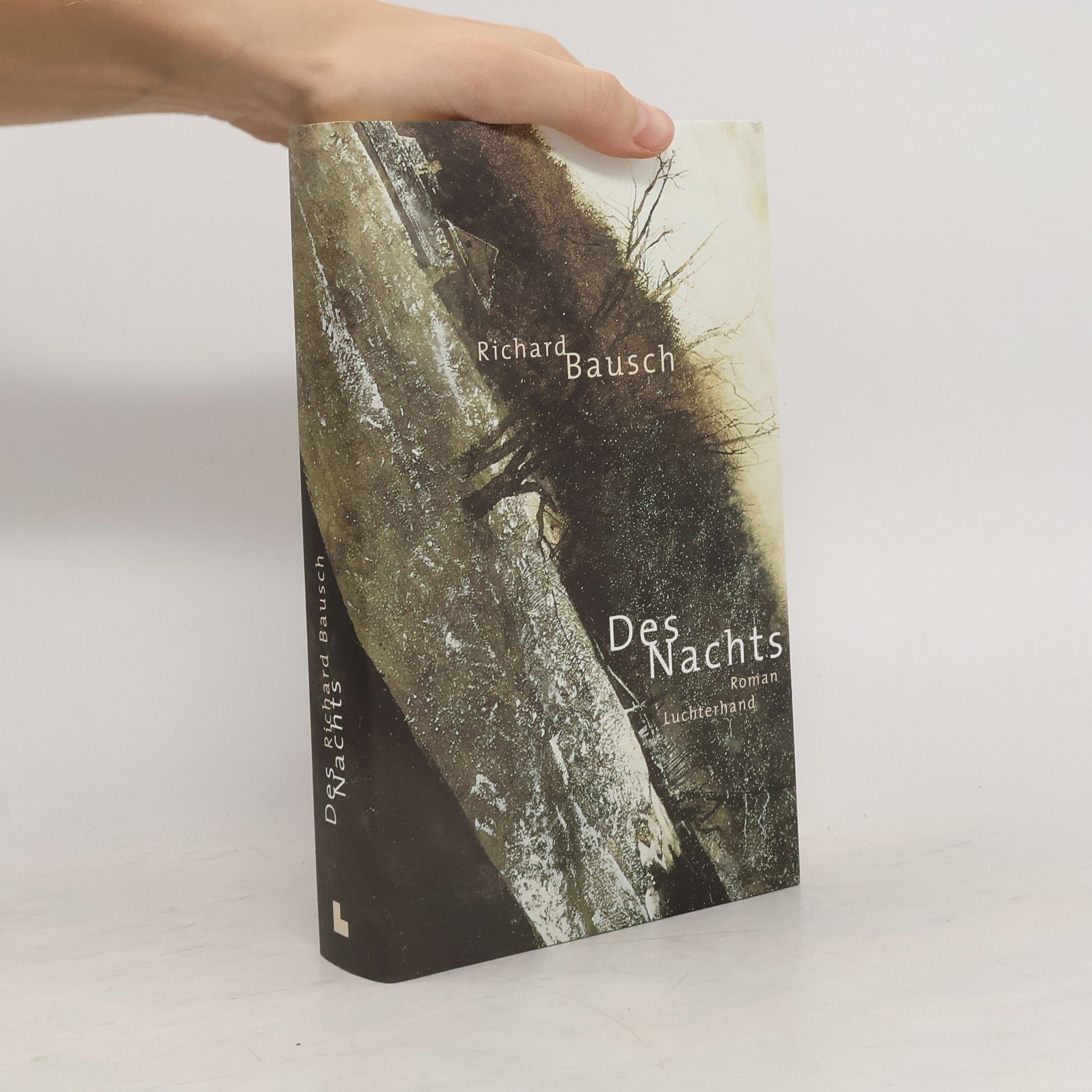 Richard Bausch Des Nachts